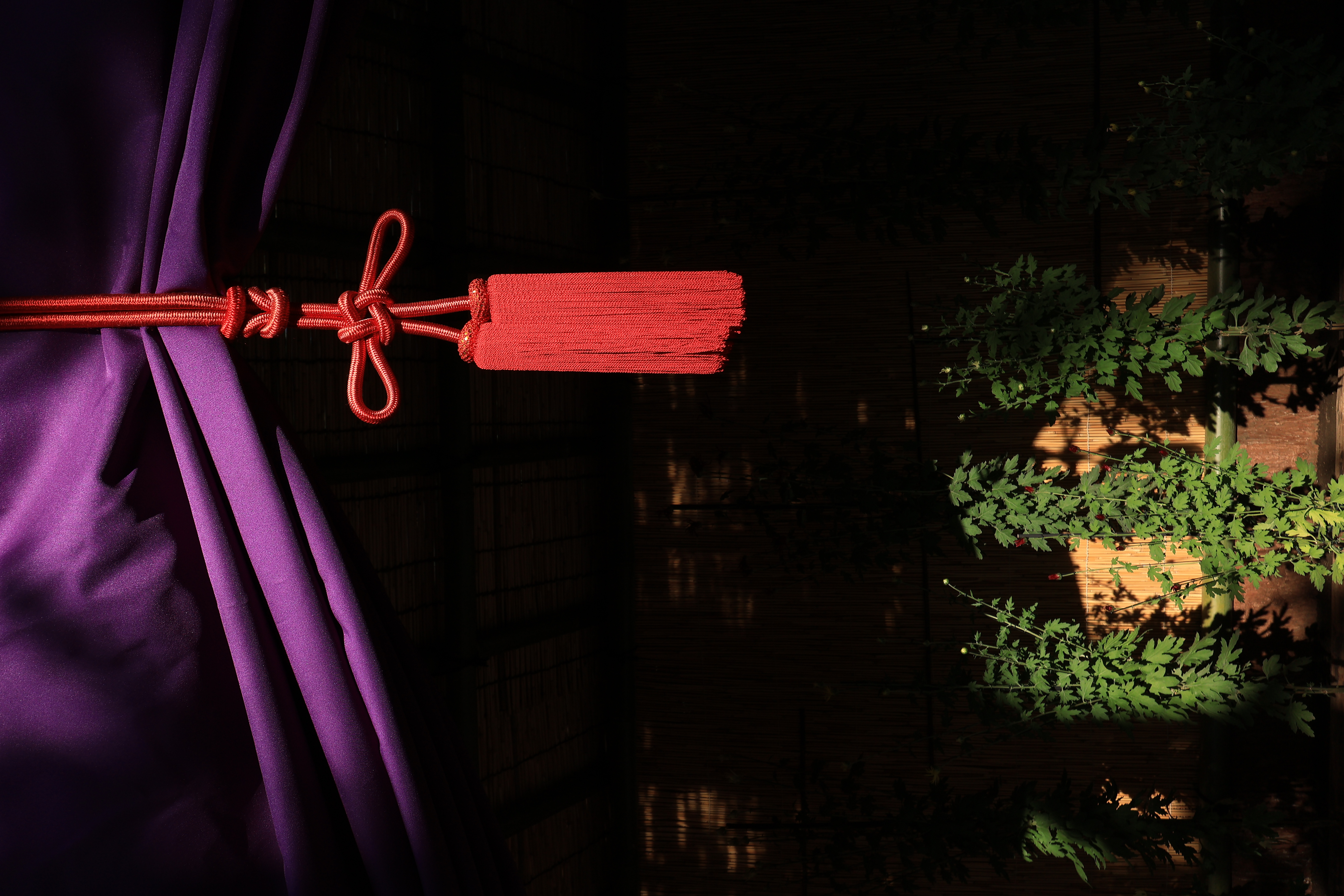 EOS R10／RF-S10-18mm F4.5-6.3 IS STM／18mm（28.8mm相当）／絞り優先AE（1/320秒、F8.0、−1.3EV）／ISO 100