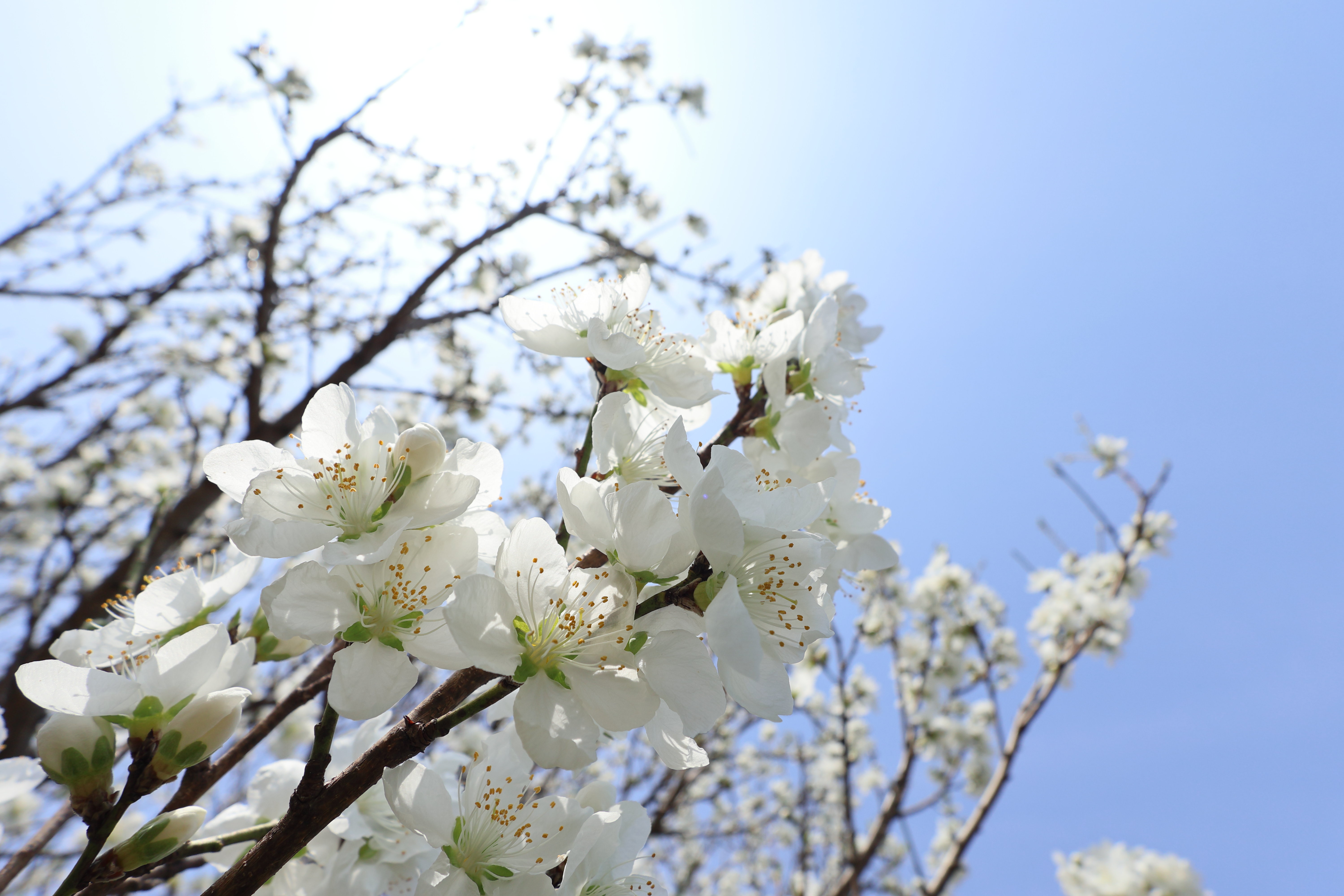 EOS R10／RF-S10-18mm F4.5-6.3 IS STM／10mm（16mm相当）／絞り優先AE（1/1,000秒、F4.5、＋0.7EV）／ISO 100