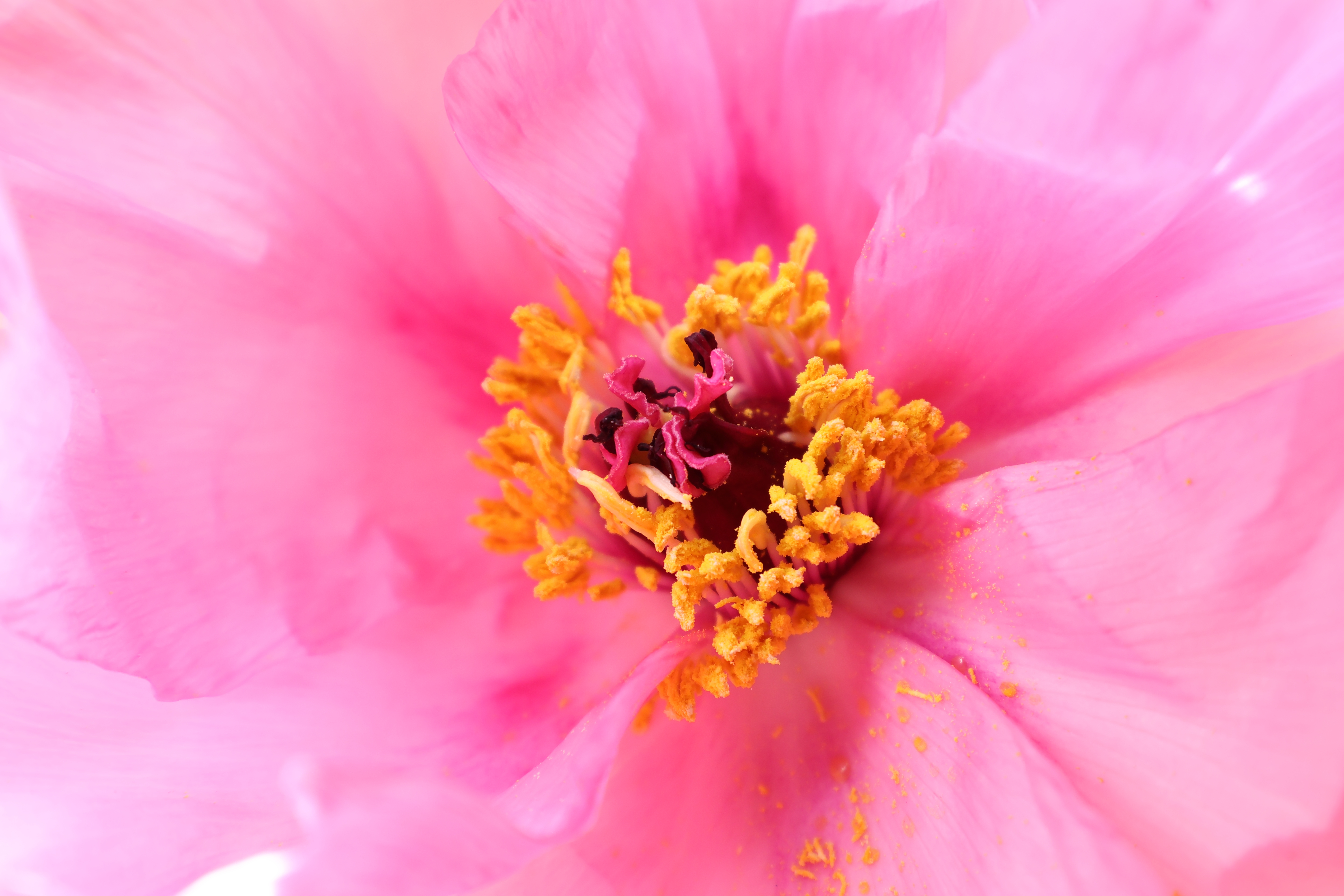 EOS R10／RF-S10-18mm F4.5-6.3 IS STM／18mm（28.8mm相当）／絞り優先AE（1/80秒、F6.3、＋0.3EV）／ISO 4000