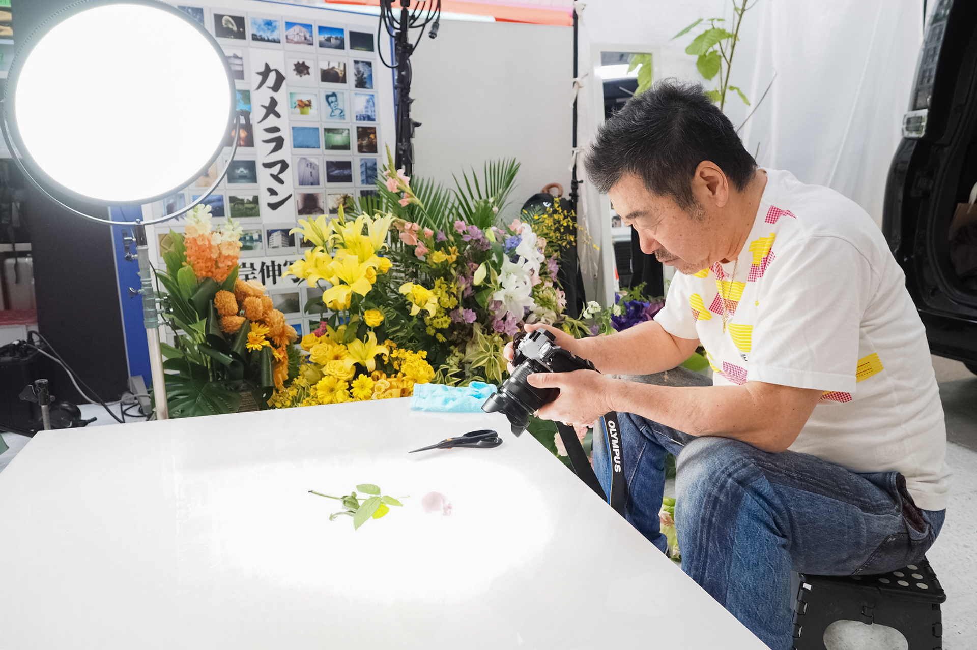 スタジオに持ち帰った花をLEDでライティングする。アクリル板（乳白）の下から1灯、やや逆光気味にもう1灯当てている