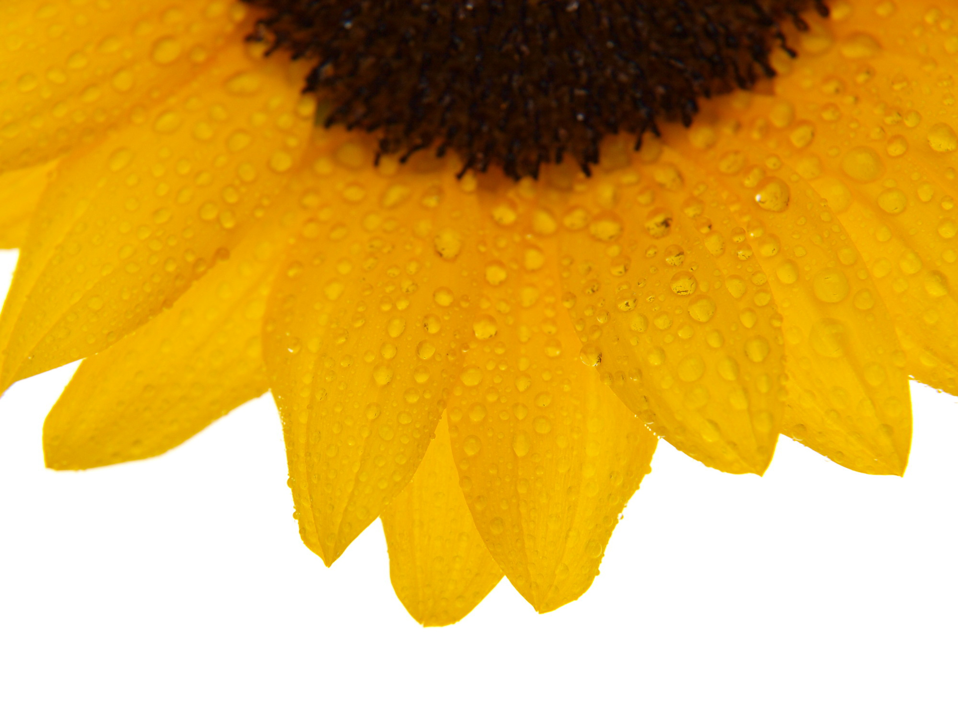 オリンパス E-520／12-60mm f/2.8-4／絞り優先AE（F4.5・1/160秒・＋1.0EV） / ISO 400