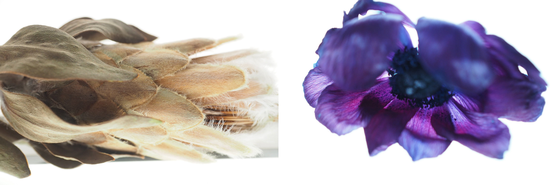 いずれもオリンパス E-M5MarkⅡ／絞り優先AE／ISO 800（左）M.ZUIKO DIGITAL ED 12-40mm F2.8 PRO／F4・1/160秒・＋1.3EV （右）M.ZUIKO DIGITAL 25mm F1.8／F1.8・1/500秒・＋0.3EV