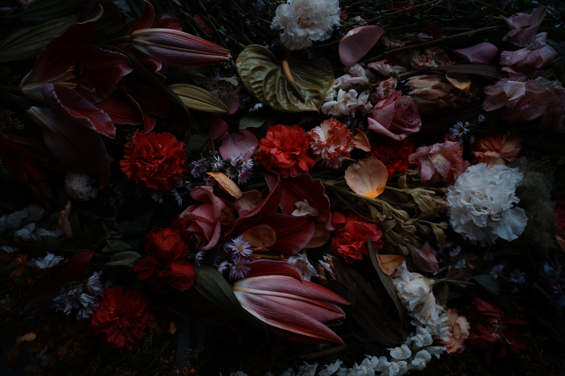 シグマ fp L／24mm F3.5 DG DN | Contemporary／絞り優先AE（F3.5・1/250秒・-2.3EV） / ISO 400