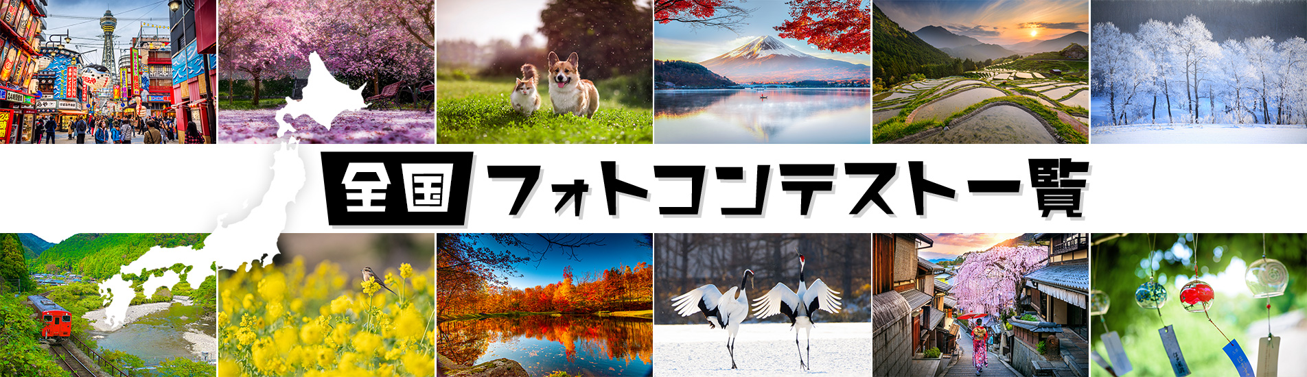 	https://ganref.jp/photo_contests/jpn