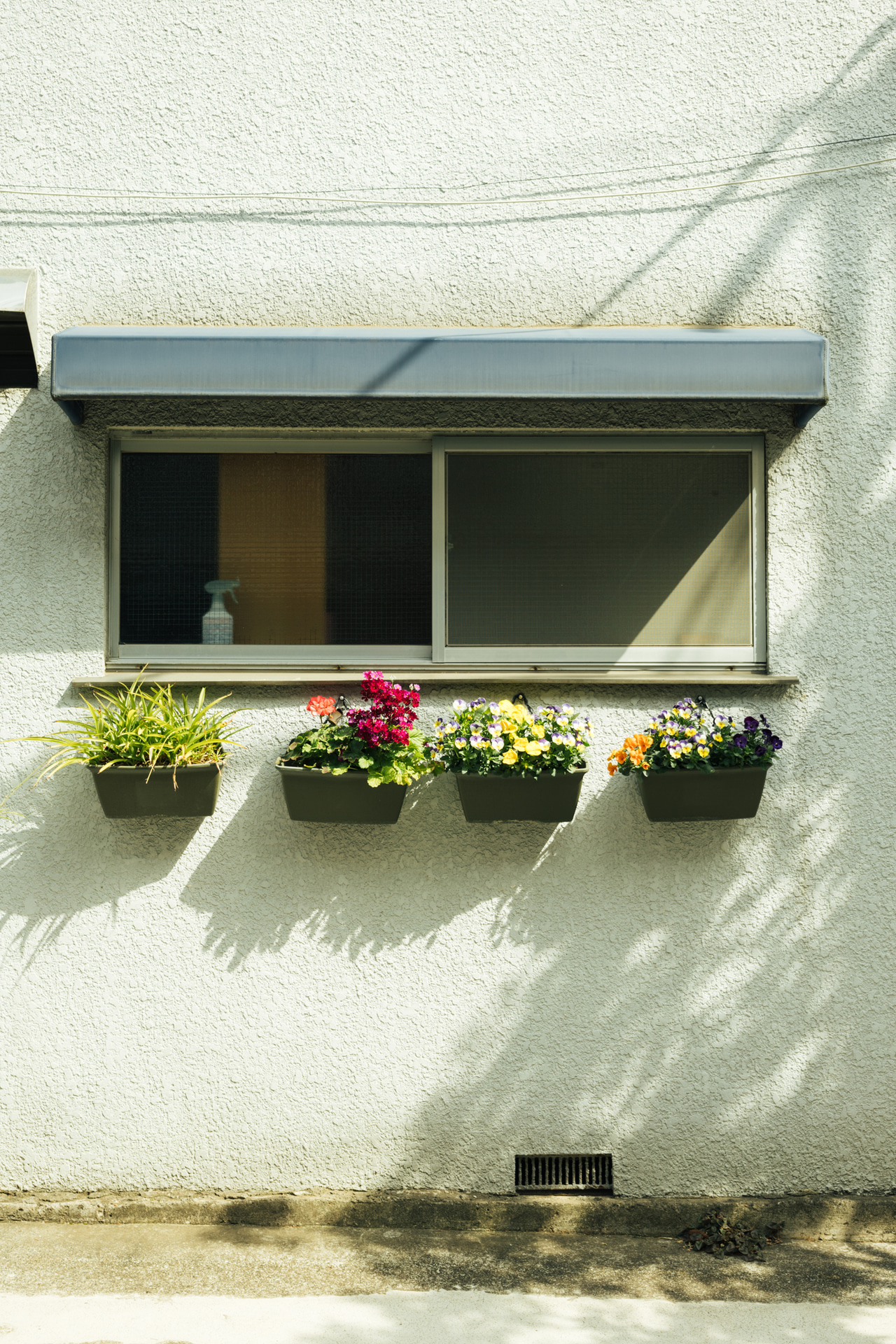 見たままを素直に捉える50mmの画角。春らしいプランターと日差しが素敵で、それらが際立つように水平垂直に気を付けた。何気ない街角をドラマチックにしてくれる日差しはスナップの強い味方だ<br><span class="fnt-85">キヤノン EOS R8／RF24-50mm F4.5-6.3 IS STM／50mm／絞り優先AE（F6.3、1/250秒、＋1.0EV）／ISO 200／WB：オート（B2＋G2）</span>