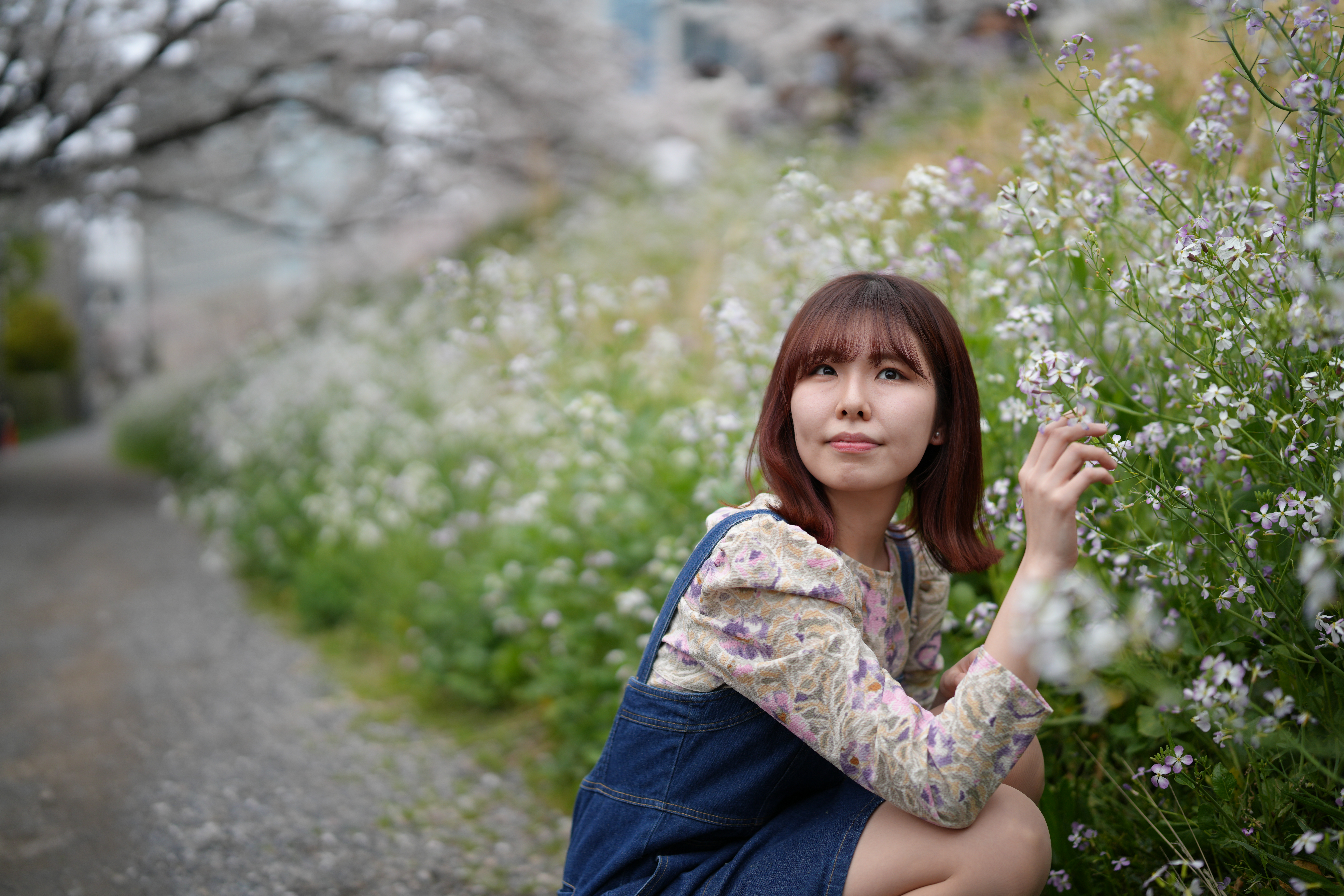 α7R V／SIGMA 50mm F1.2 DG DN｜Art／絞り優先AE（1/3,200秒、F1.2、＋0.3EV）／ISO 100