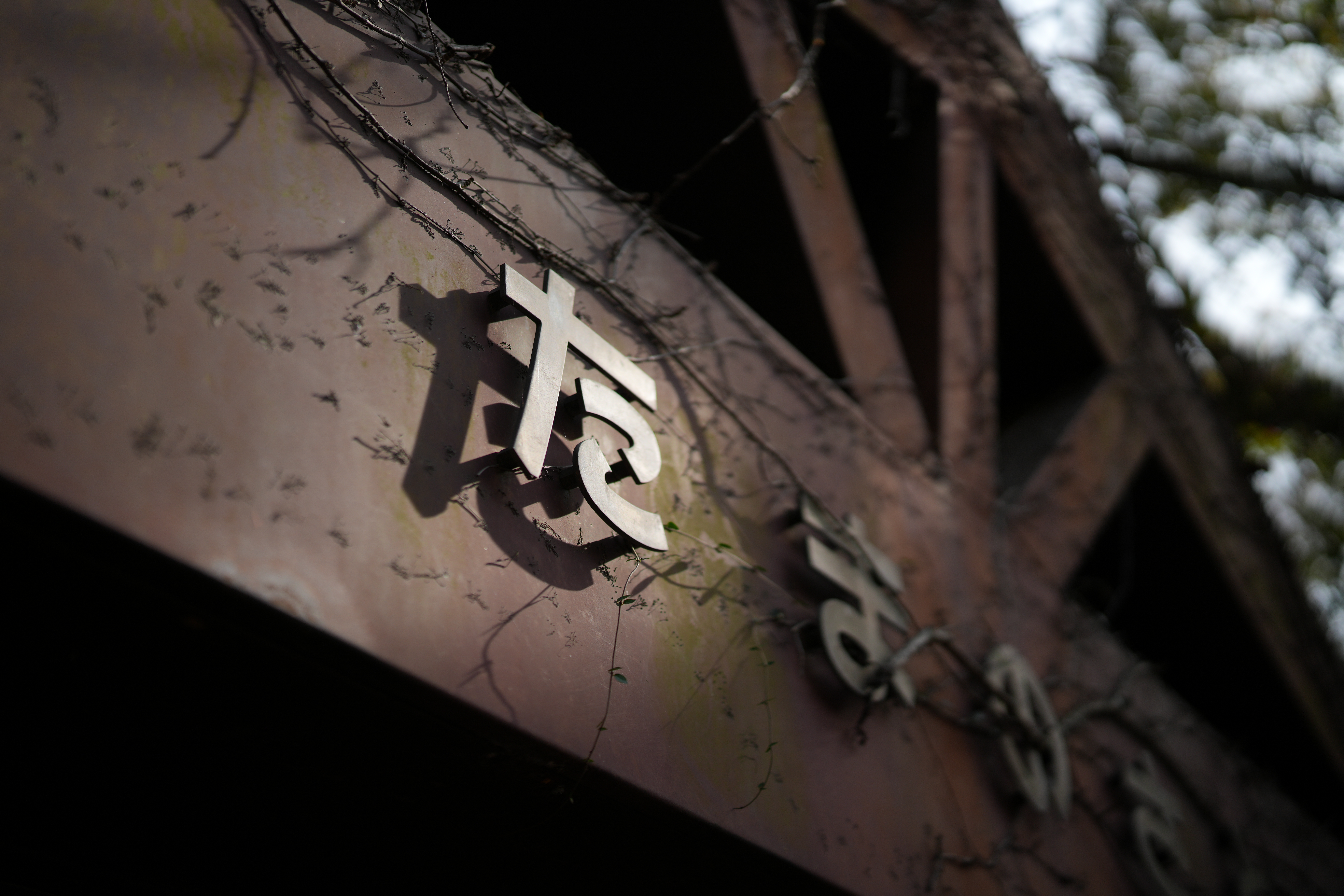 α7R V／SIGMA 50mm F1.2 DG DN｜Art／絞り優先AE（1/6,400秒、F1.2、−0.7EV）／ISO 100