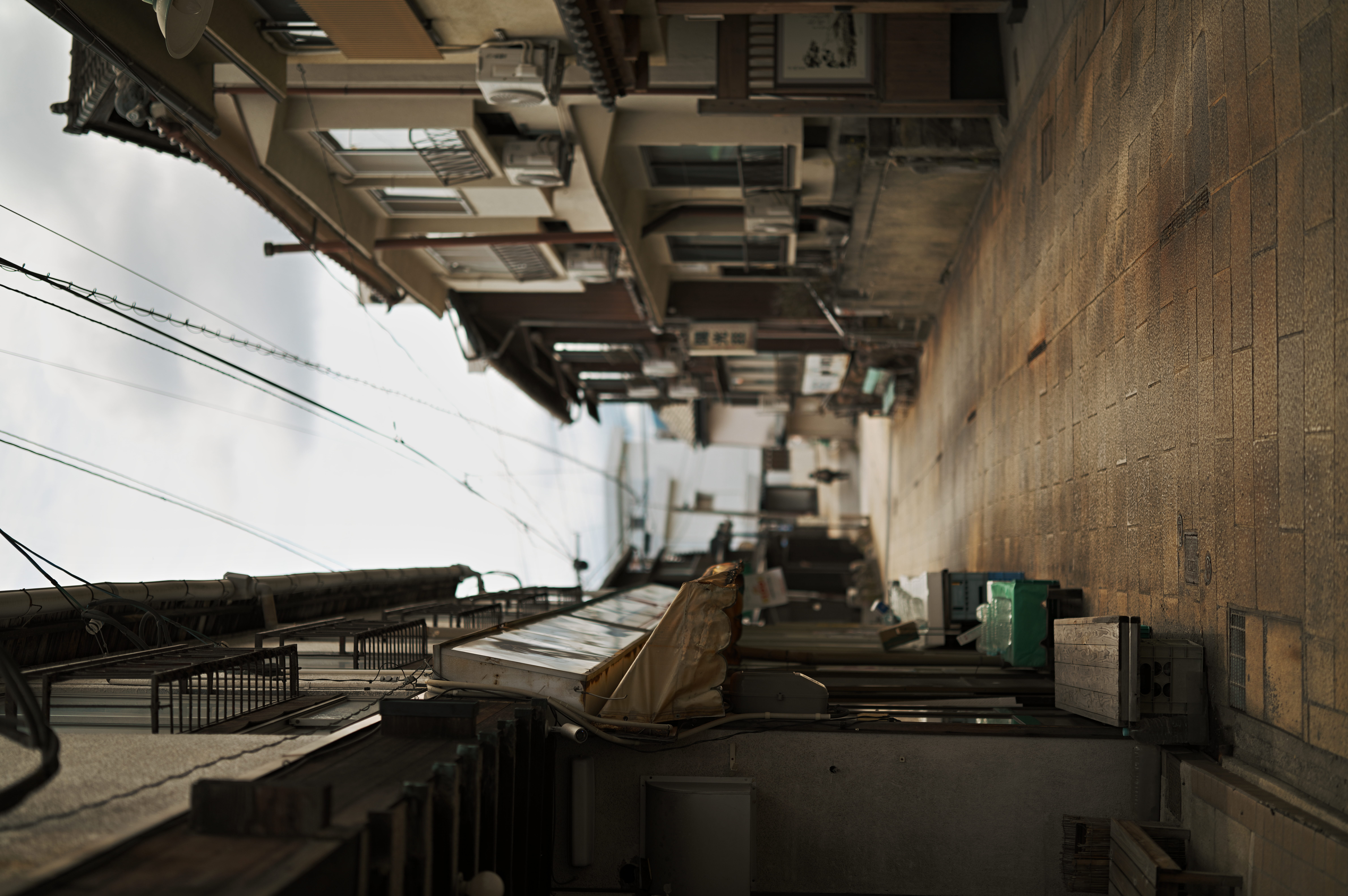 SIGMA fp L／SIGMA 50mm F1.2 DG DN｜Art／絞り優先AE（1/8,000秒、F1.2、−2.0EV）／ISO 100