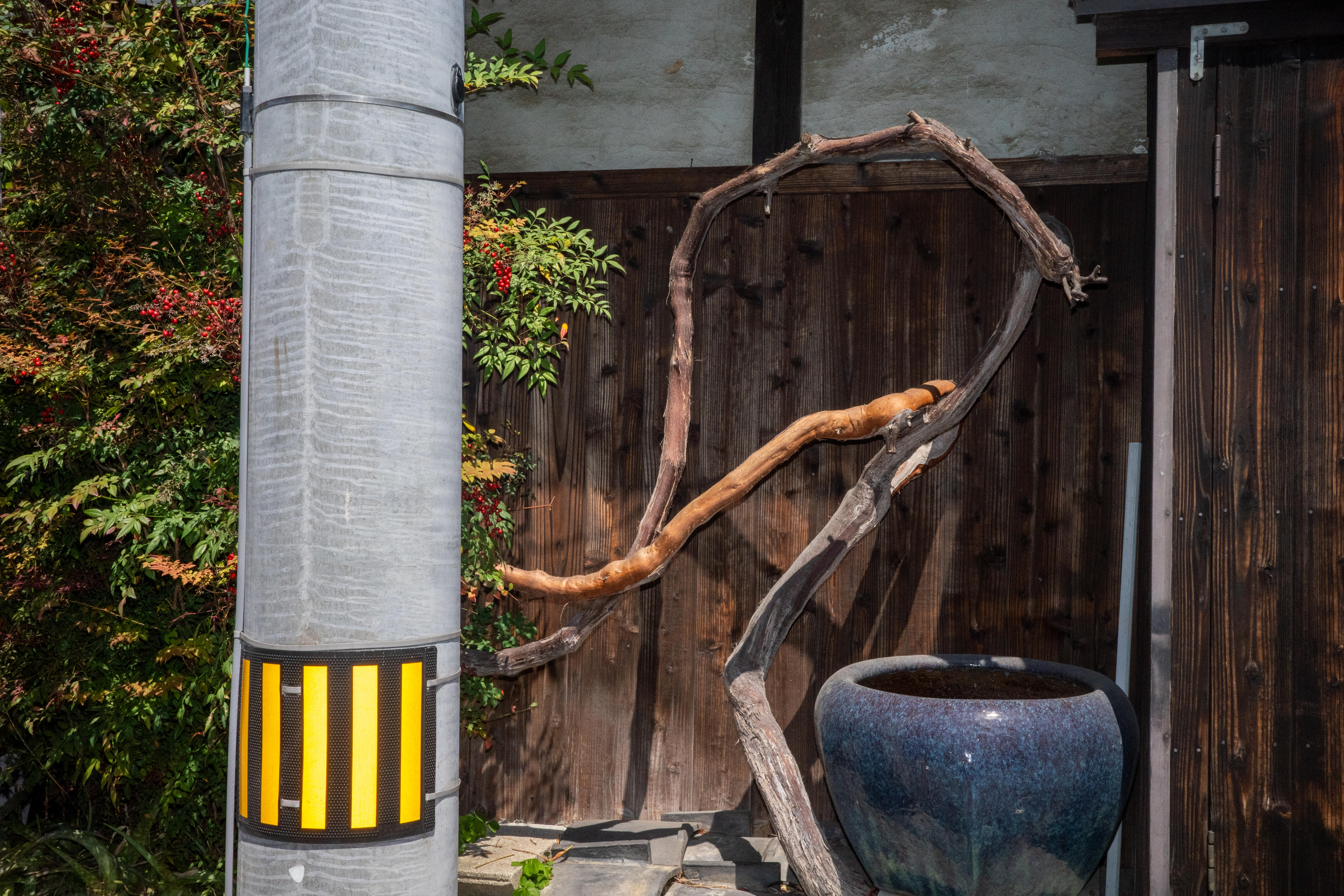 街を歩いていたら、奇妙なオブジェを発見。ただ、黒い壁に黒い木ですから潰れてしまいます。そこでストロボを発光させてディテールを出したわけです<br><span class="fnt-85">GR III／18.3mm（28mm相当）／プログラムオート（1/1,000秒、F14、−0.7EV）／ISO 1600／ストロボ発光</span>