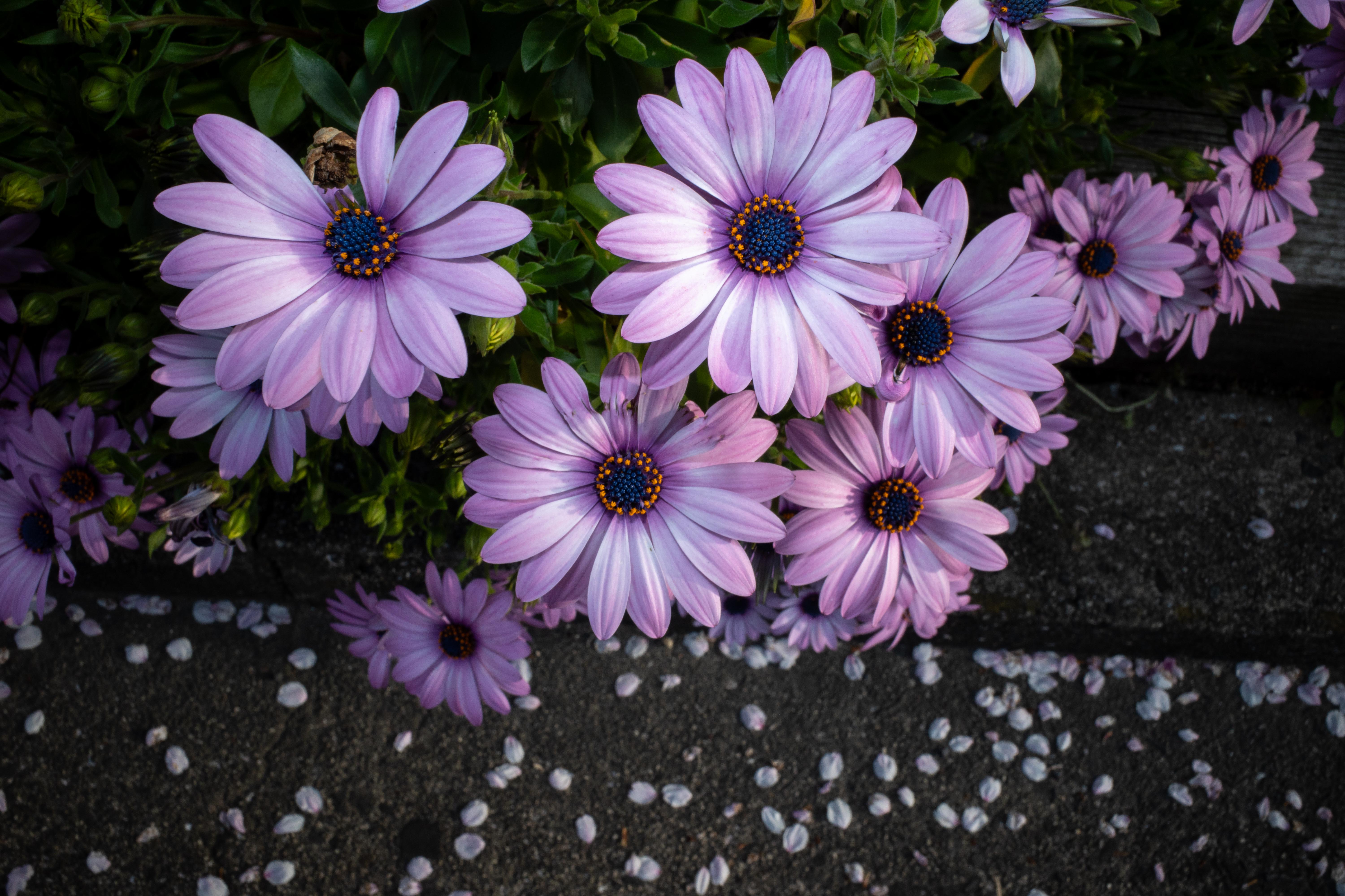 ワイドパネルを使用して撮影しましたが、よい感じにシャドーを補っています。ストロボ光をあまり感じさせません<br><span class="fnt-85">GR III／18.3mm（28mm相当）／プログラムオート（1/100秒、F16、−0.7EV）／ISO 400／ストロボ発光</span>