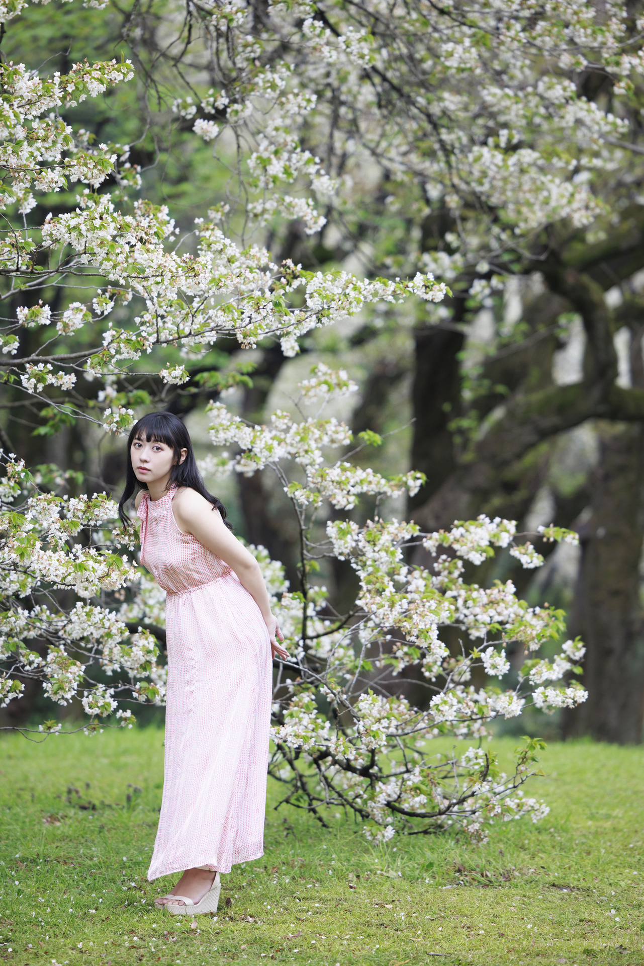 枝の低い大きな桜はポートレートに最適。200mmでぐっと背景を引き寄せながら、画面いっぱいにモデルと桜の木を大きく入れ込んだ<br><span class="fnt-85">キヤノン EOS R5／RF70-200mm F2.8 L IS USM／200mm／マニュアル露出（F2.8、1/400秒）／ISO 250／WB：4,700K</span>