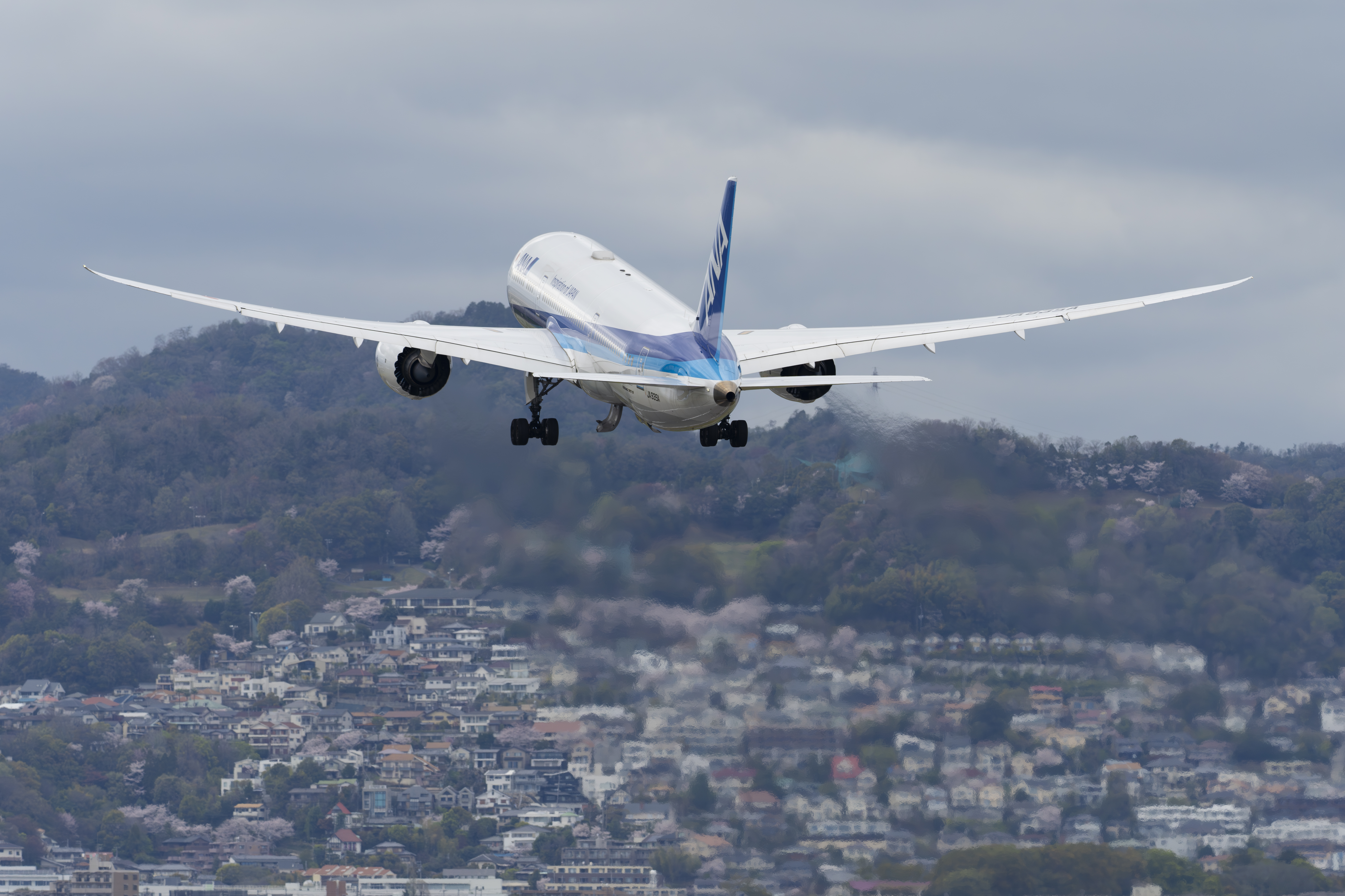 撮影：佐々木豊<br><span class="fnt-85">ソニー α1／SIGMA 500mm F5.6 DG DN OS｜Sports／500mm／マニュアル露出（1/1,250秒、F5.6）／ISO 640</span>