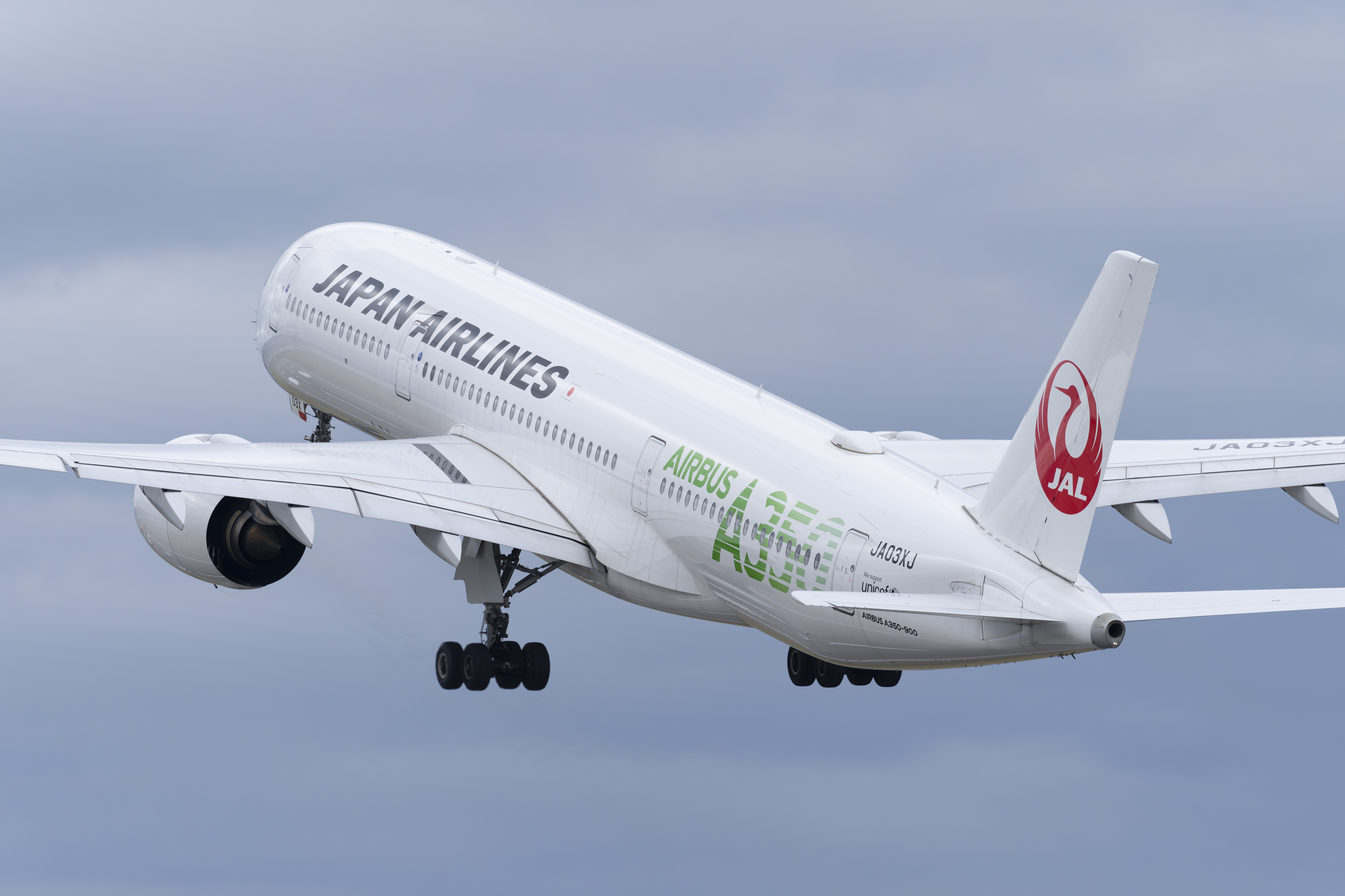 撮影：佐々木豊<br><span class="fnt-85">ソニー α1／SIGMA 500mm F5.6 DG DN OS｜Sports／500mm／マニュアル露出（1/1,250秒、F5.6）／ISO 640</span>