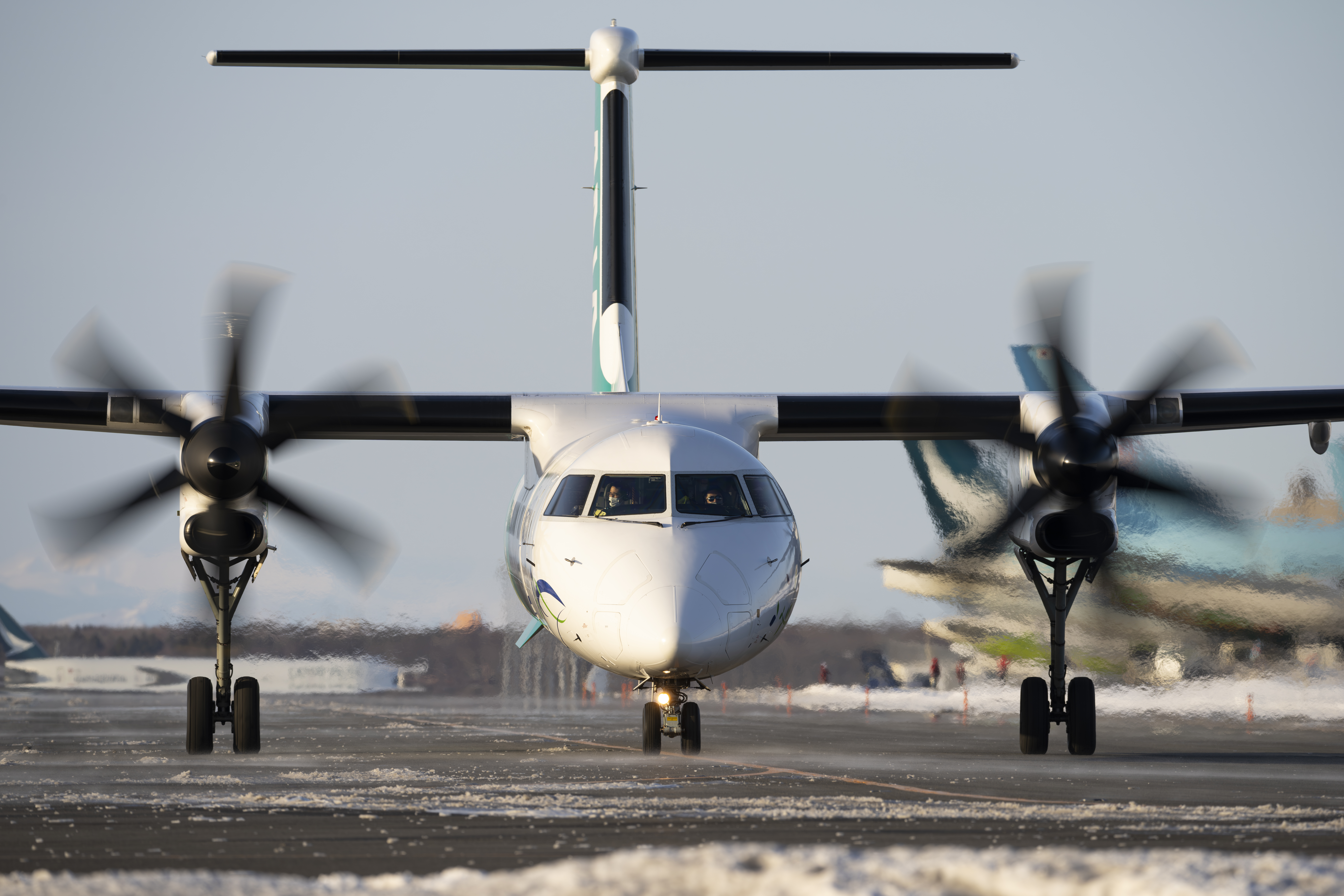 撮影：佐々木豊<br><span class="fnt-85">ソニー α1／SIGMA 500mm F5.6 DG DN OS｜Sports／500mm／マニュアル露出（1/200秒、F9.0）／ISO 125</span>