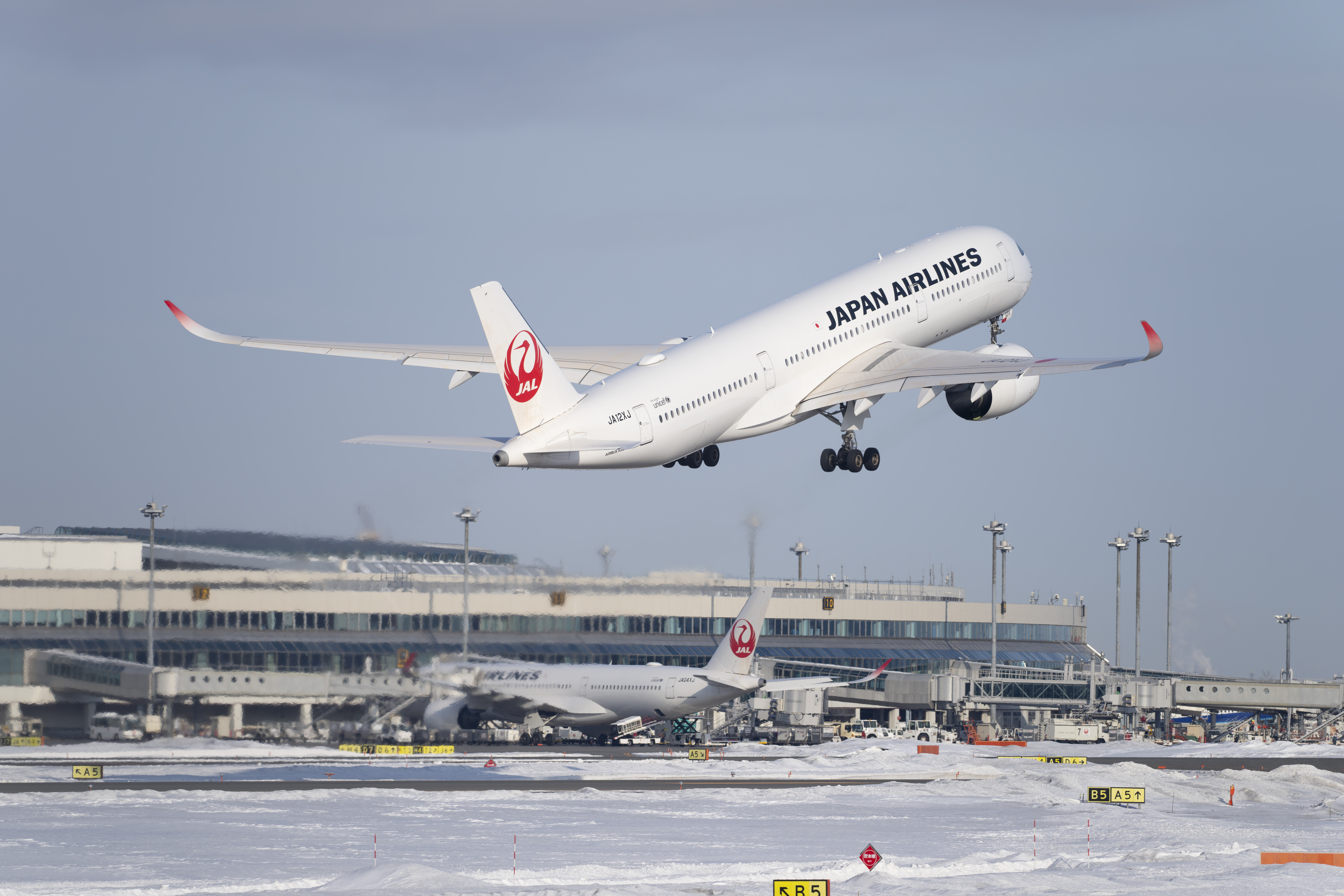 撮影：佐々木豊<br><span class="fnt-85">ソニー α1／SIGMA 500mm F5.6 DG DN OS｜Sports／500mm／マニュアル露出（1/1,250秒、F6.3）／ISO 200</span>