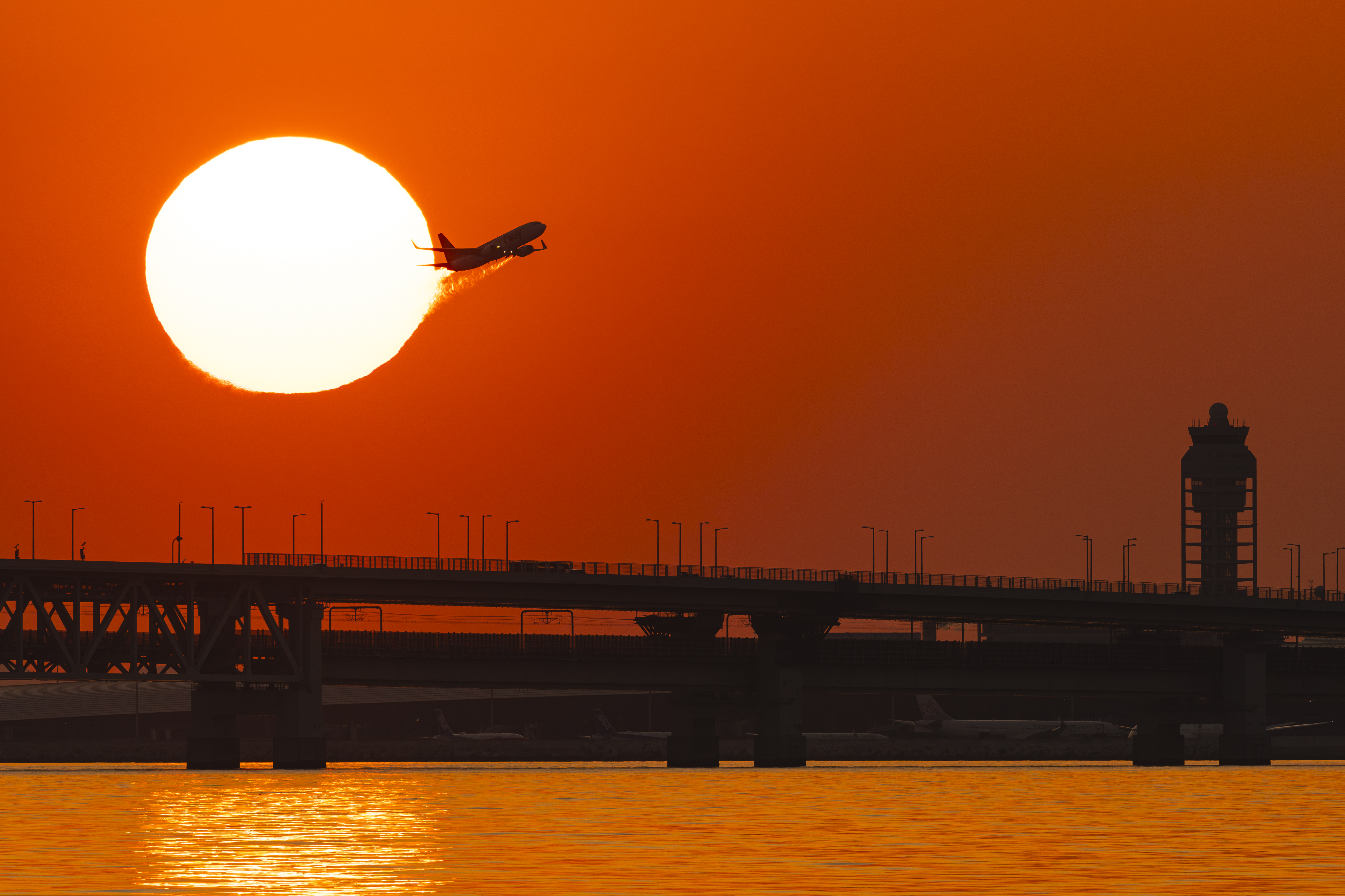 撮影：佐々木豊<br><span class="fnt-85">ソニー α1／SIGMA 500mm F5.6 DG DN OS｜Sports／750mm（クロップ撮影）／マニュアル露出（1/1,250秒、F6.3）／ISO 400</span>