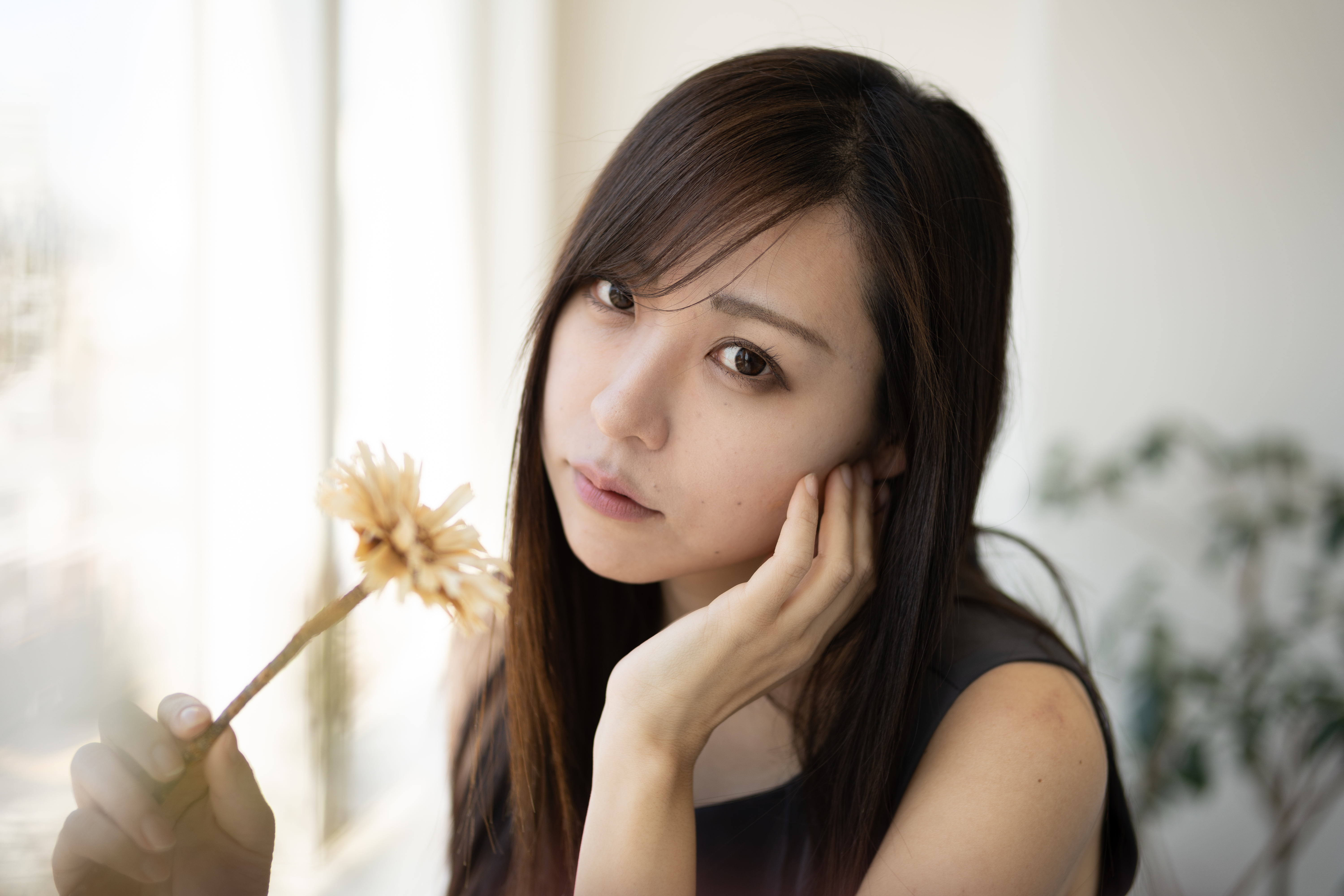 ソニー α7 III／NOKTON 50mm F1 Aspherical／マニュアル露出（1/500秒、F2.0）／ISO 100