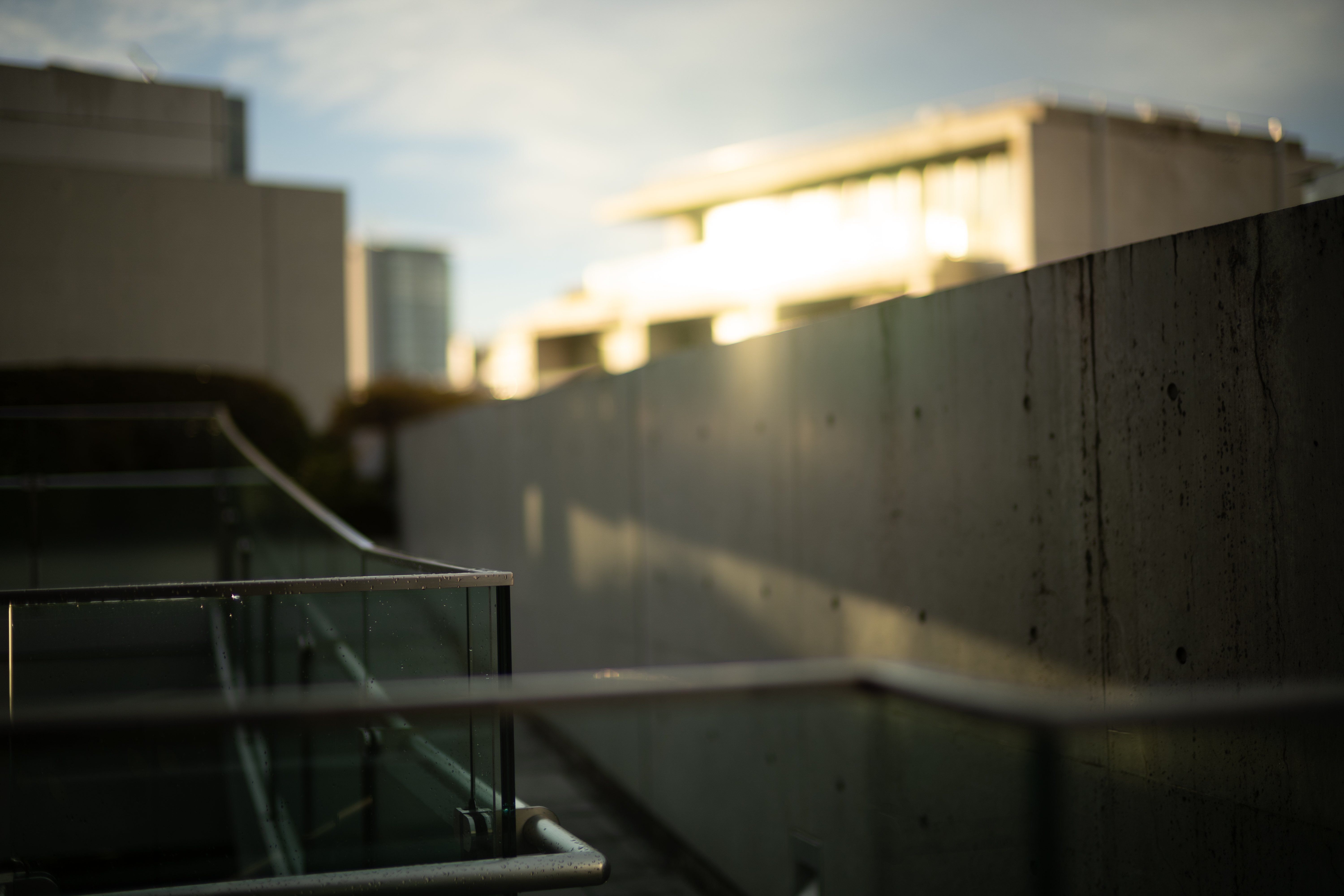 ソニー α7 III／NOKTON 50mm F1 Aspherical／マニュアル露出（1/5,000秒、F1.0）／ISO 100