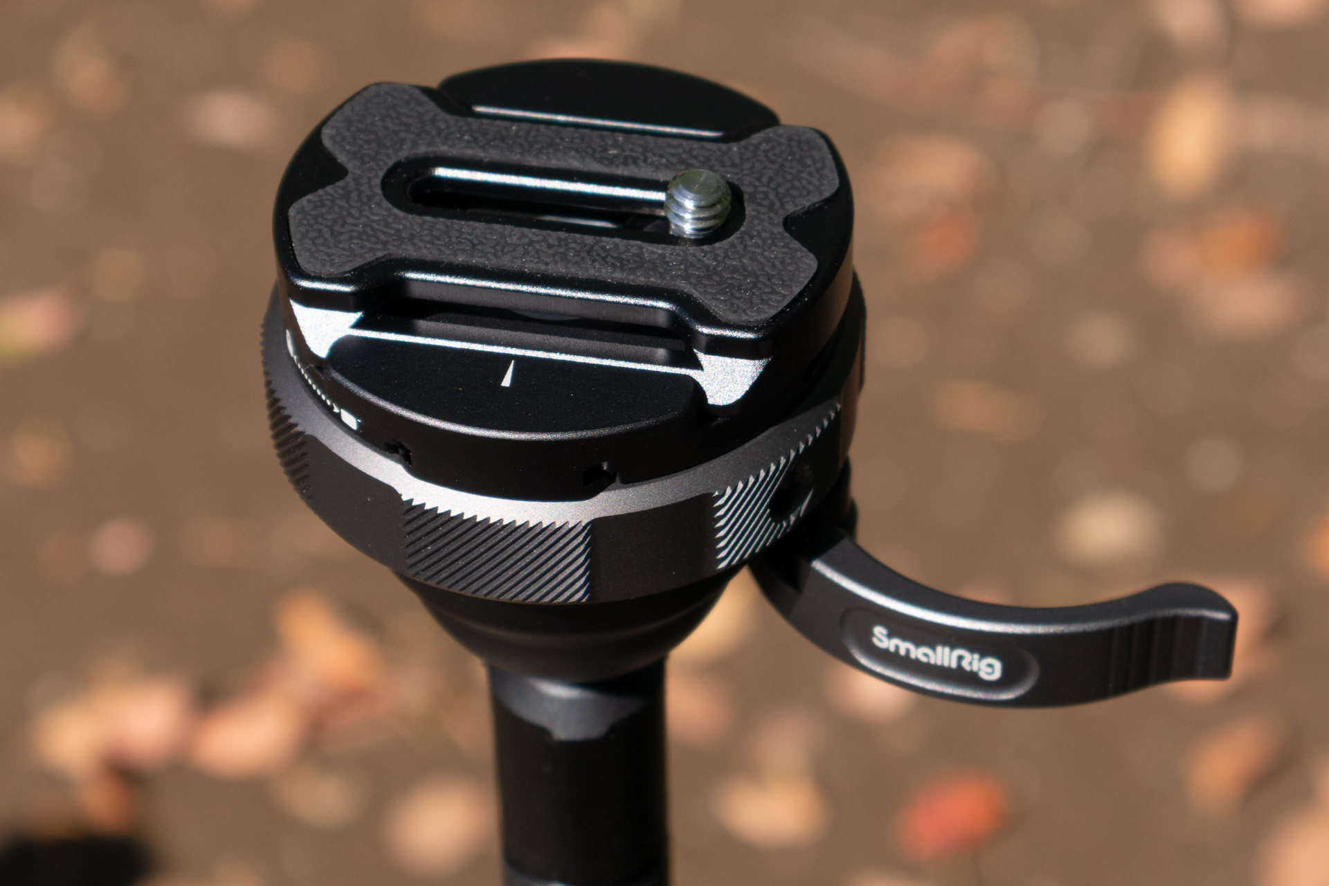 ボールの固定はレバー式だ