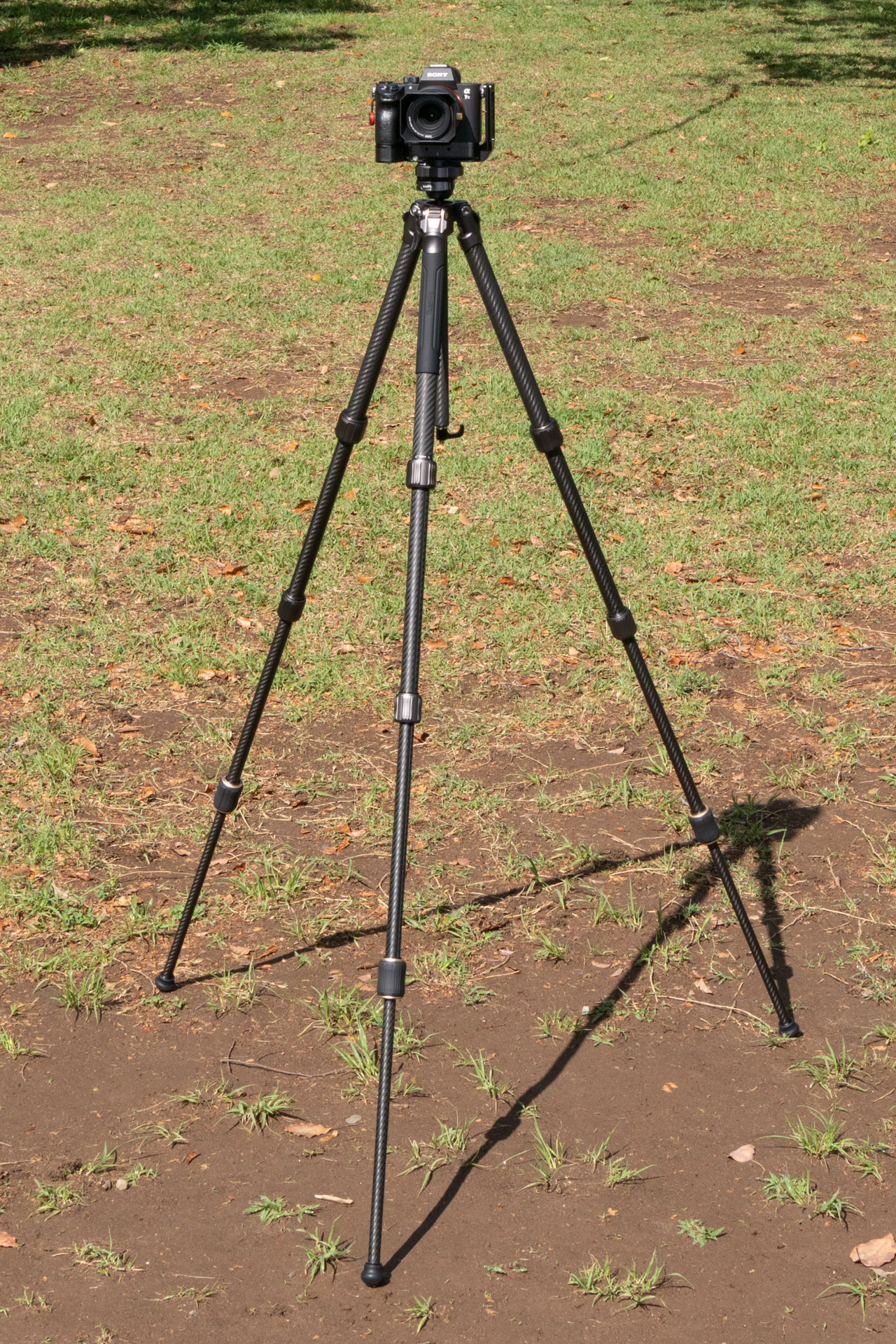 足を伸ばした姿はほかの三脚と変わらない