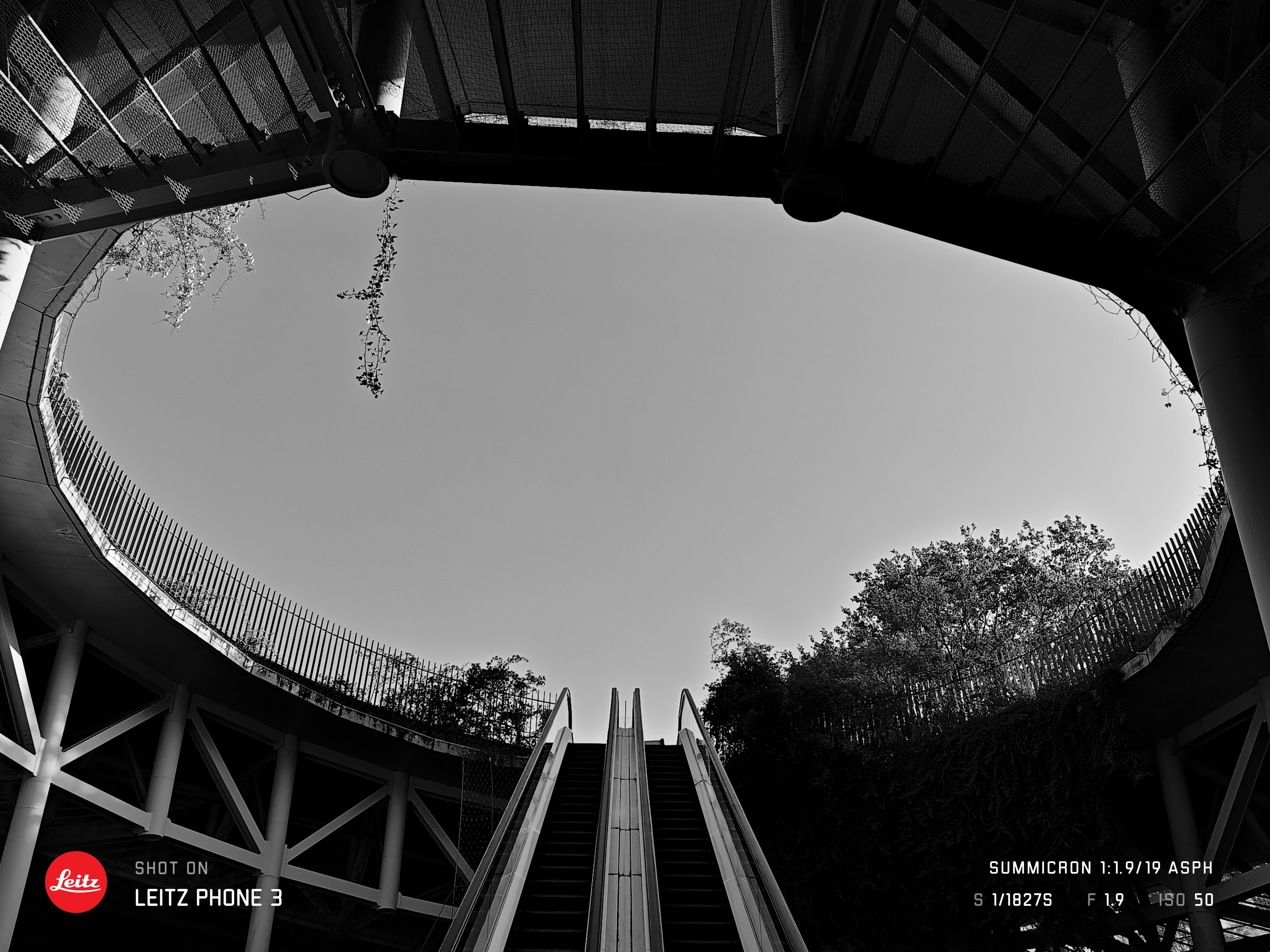 LEITZ PHONE 3／28mm相当／プログラムオート（1/1,800秒、F1.9、±0.0EV）／ISO 50