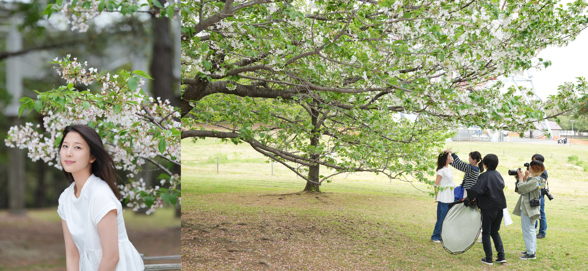 （左）葉桜の下で。ソニー α7R V／FE 70-200mm F2.8 GM OSS II／絞り優先AE（F4。1/1,250秒、＋0.7EV）／ISO 400　（右）私が撮影した後に倫子さんも、交互に撮影を進めていく