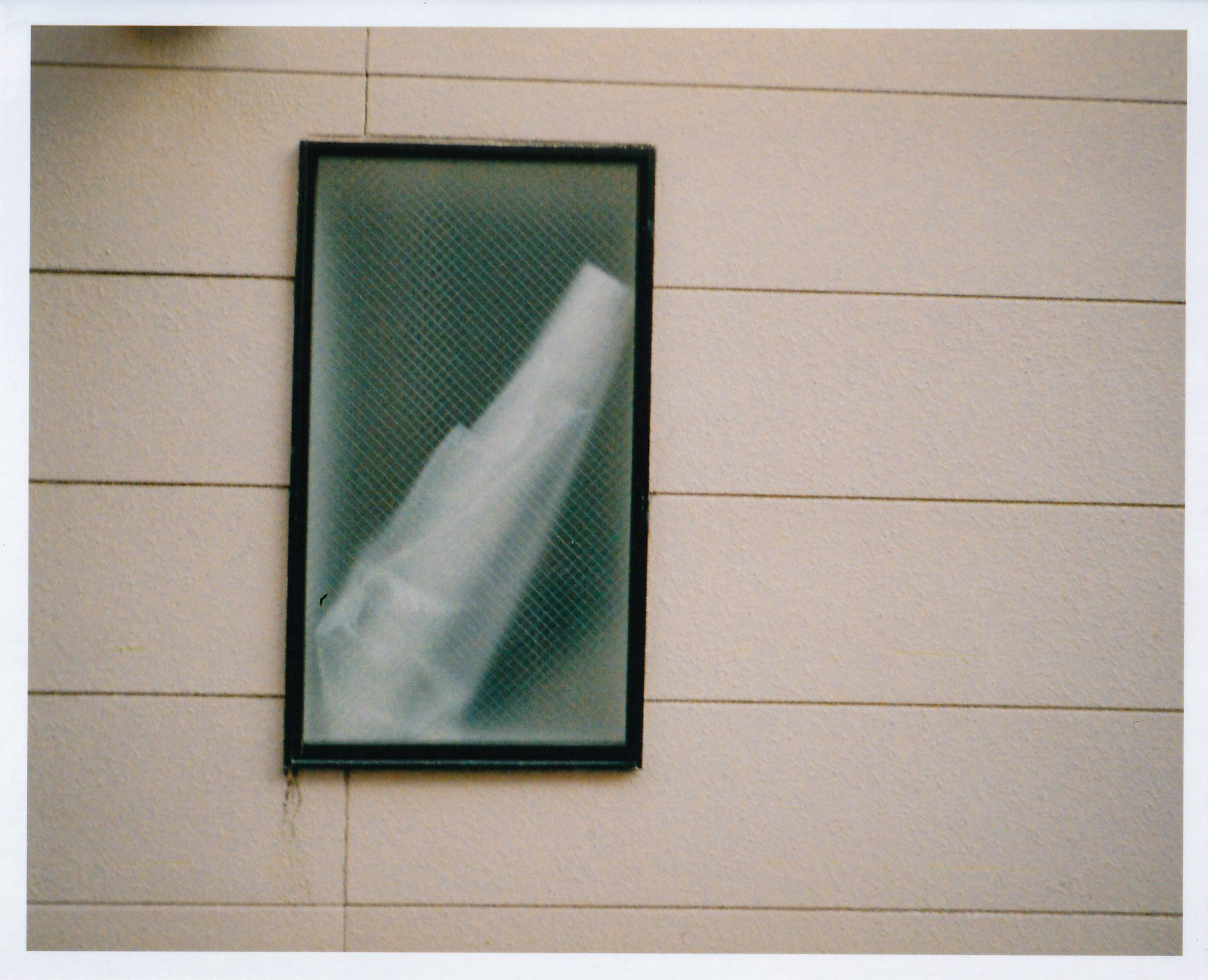 今回撮影した中では1番シャープネスがありますね。撮影距離3m。目測では2.5mと思ったのですが。そこそこ暗い場所で、シャッターも暖速になったのですが、ブレませんでした<br><span class="fnt-85">f5.6 AE／LOMOGRAPHY  COLOR NEGATIVE TIGER 110 POCKET FILM</span>