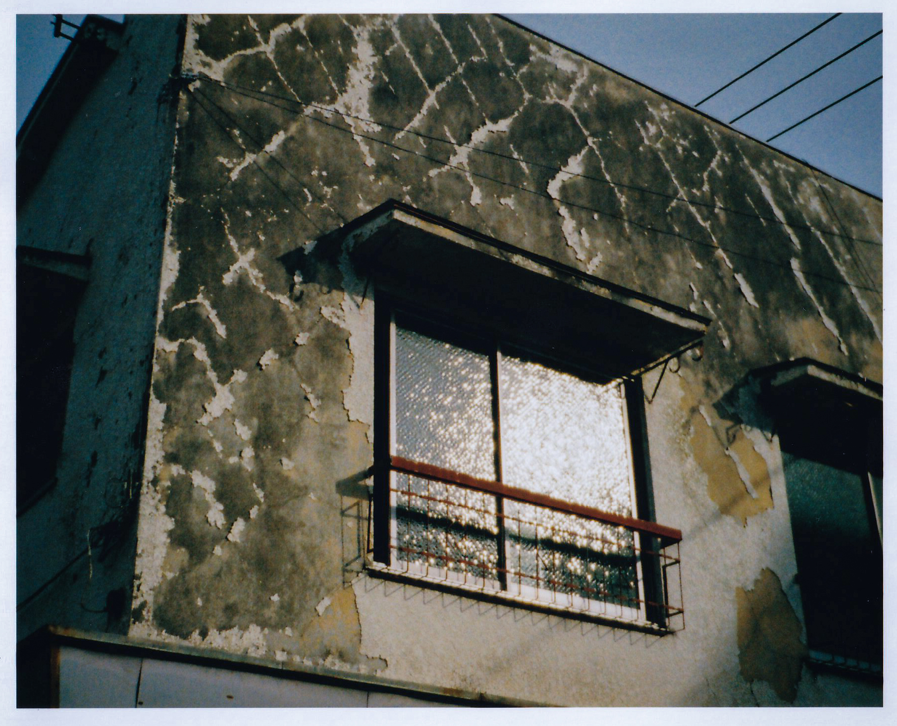 ギラギラに反射したガラスを画面内に入れたらどうなるか試したのですが、ゴーストも出ずいたって普通の描写をしますね。コーティングが優れているのでしょうか<br><span class="fnt-85">f5.6 AE／LOMOGRAPHY COLOR NEGATIVE  TIGER 110 POCKET FILM</span>