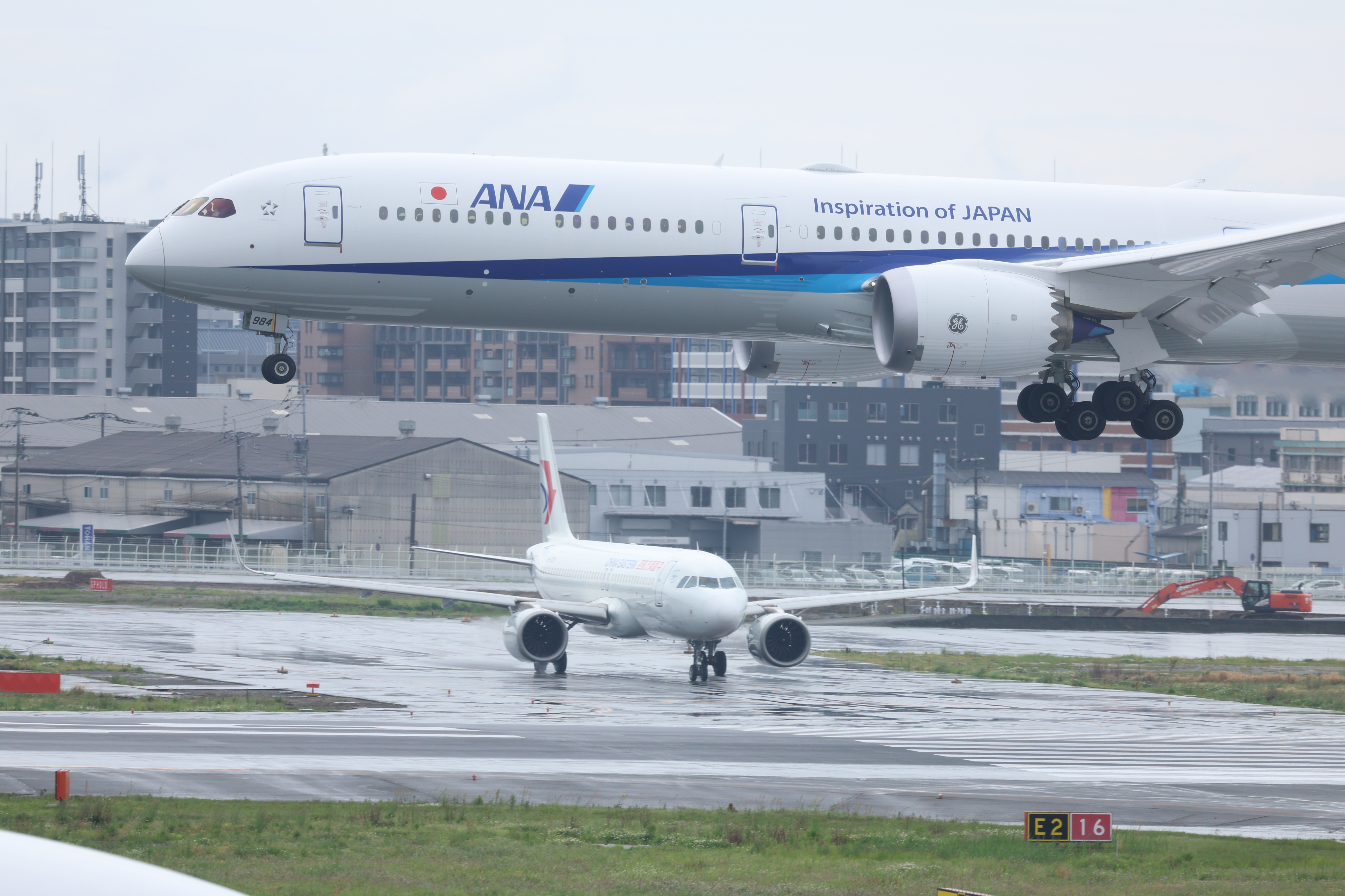 焦点距離300mm（EOS R3／RF100-300mm F2.8 L IS USM／マニュアル露出（1/1600秒、F2.8）／ISO 250／WB:オート）