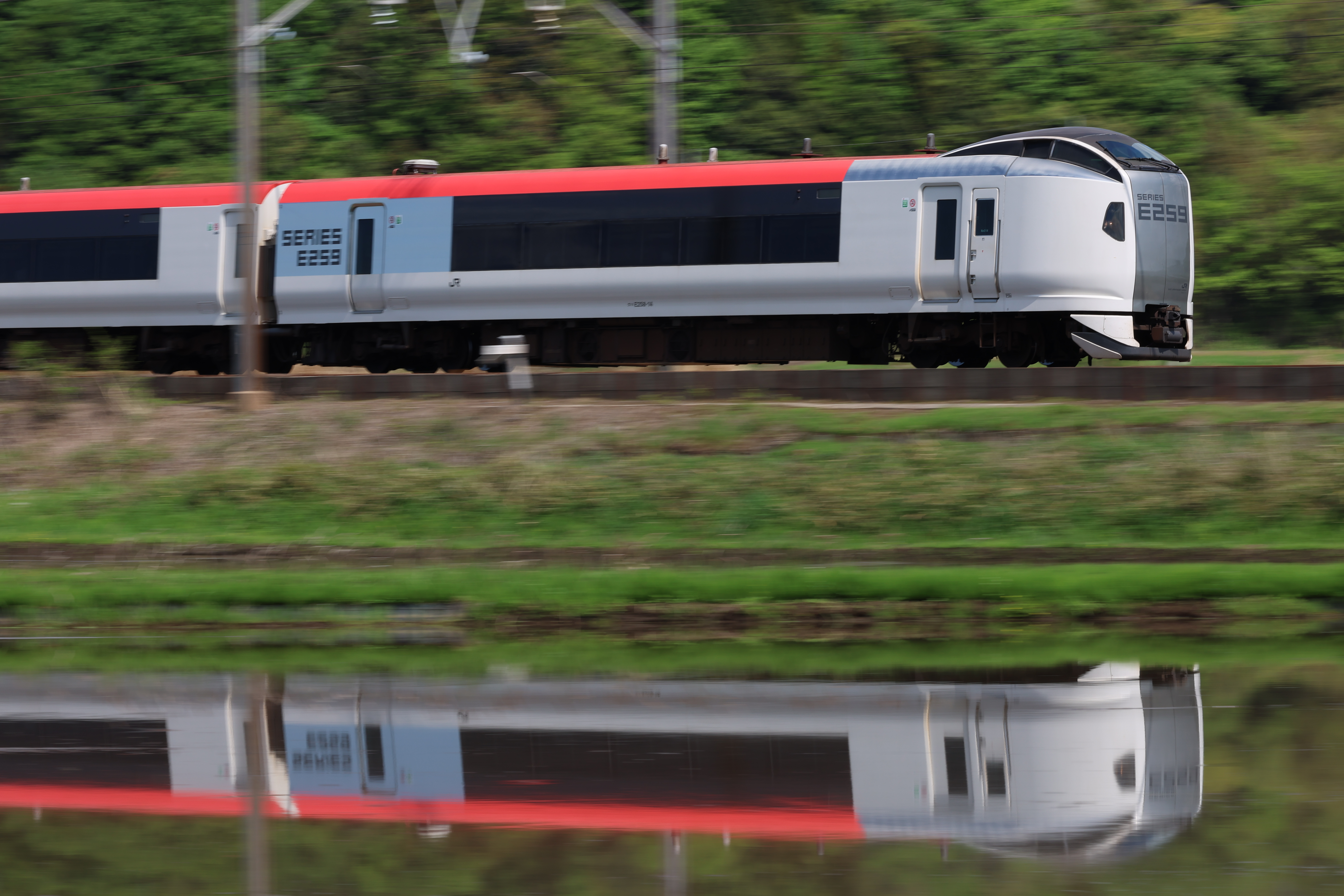 EOS R3／RF100-300mm F2.8 L IS USM／181mm／マニュアル露出（1/60秒、F20）／ISO 100／WB:オート