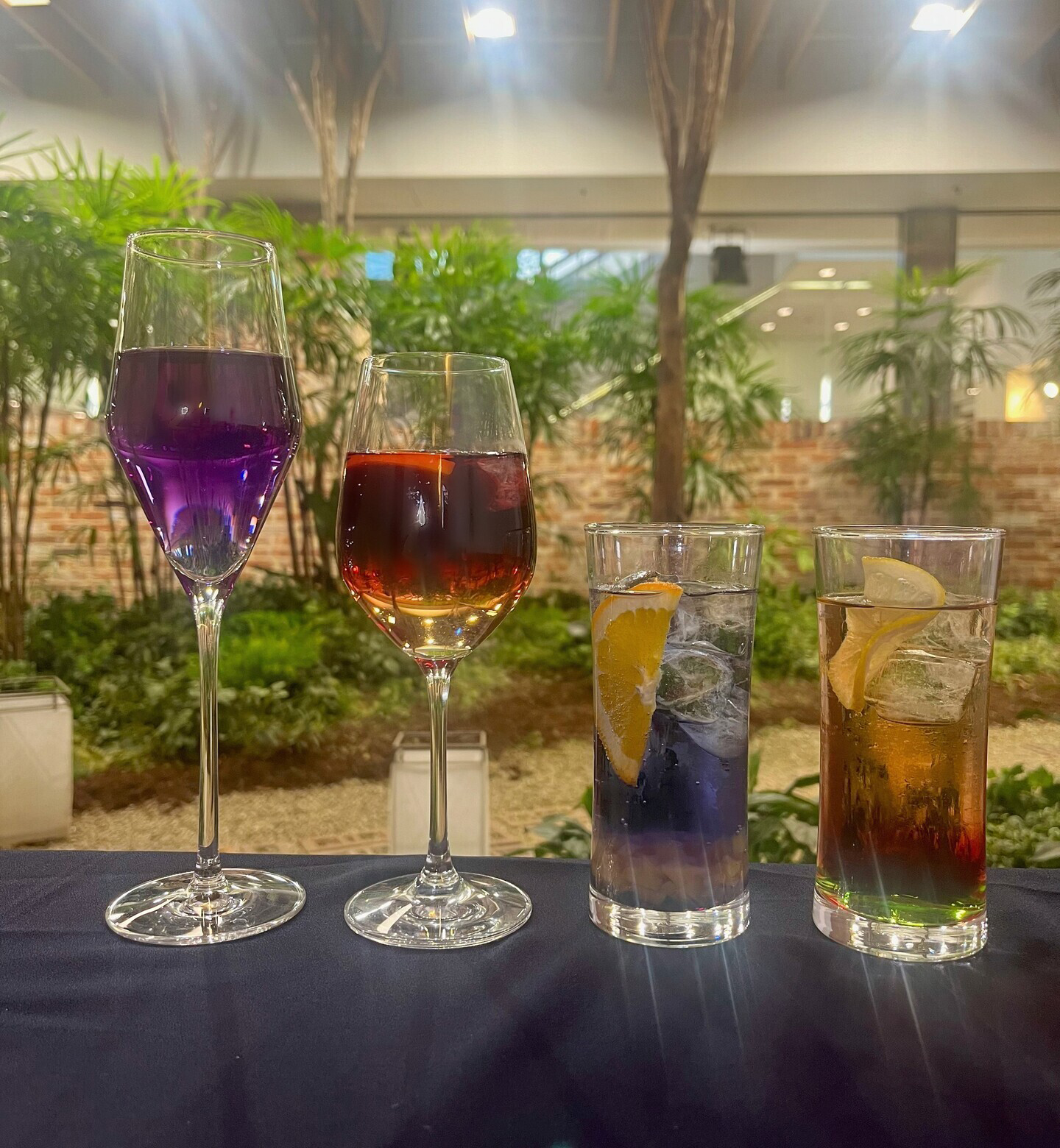 左からボン・ニュイ、クシュ・ド・ソレイユ、ニュイ・エトワール、オーロラ