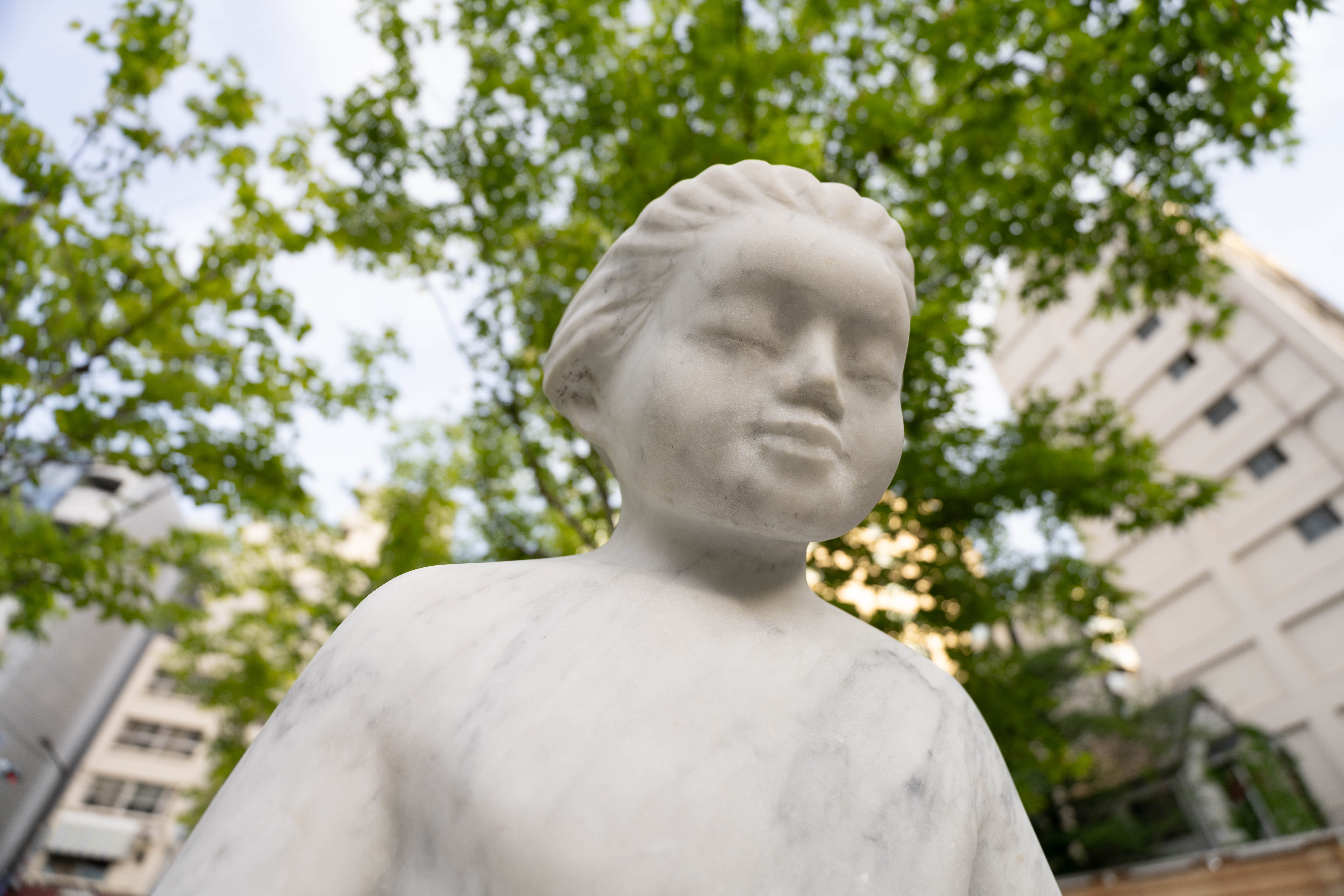 ソニー α7R V／FE 16-25mm F2.8 G／16mm／マニュアル露出（1/320秒、F2.8）／ISO 100