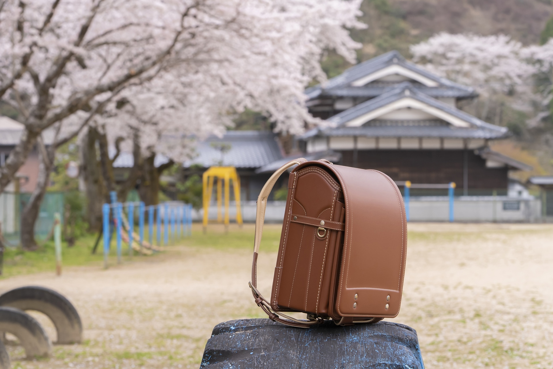 桜の木と日本家屋、ランドセルのバランスを考えて高さや水平・垂直を決めた。ランドセル上部のハイライトの入り方と角度にこだわり、奥行きを出している<br><span class="fnt-85">ソニー α7S III／FE 70-200mm F2.8 GM OSS II／94mm／マニュアル露出（F8、1/100秒）／ISO 250／WB：5,200K</span>