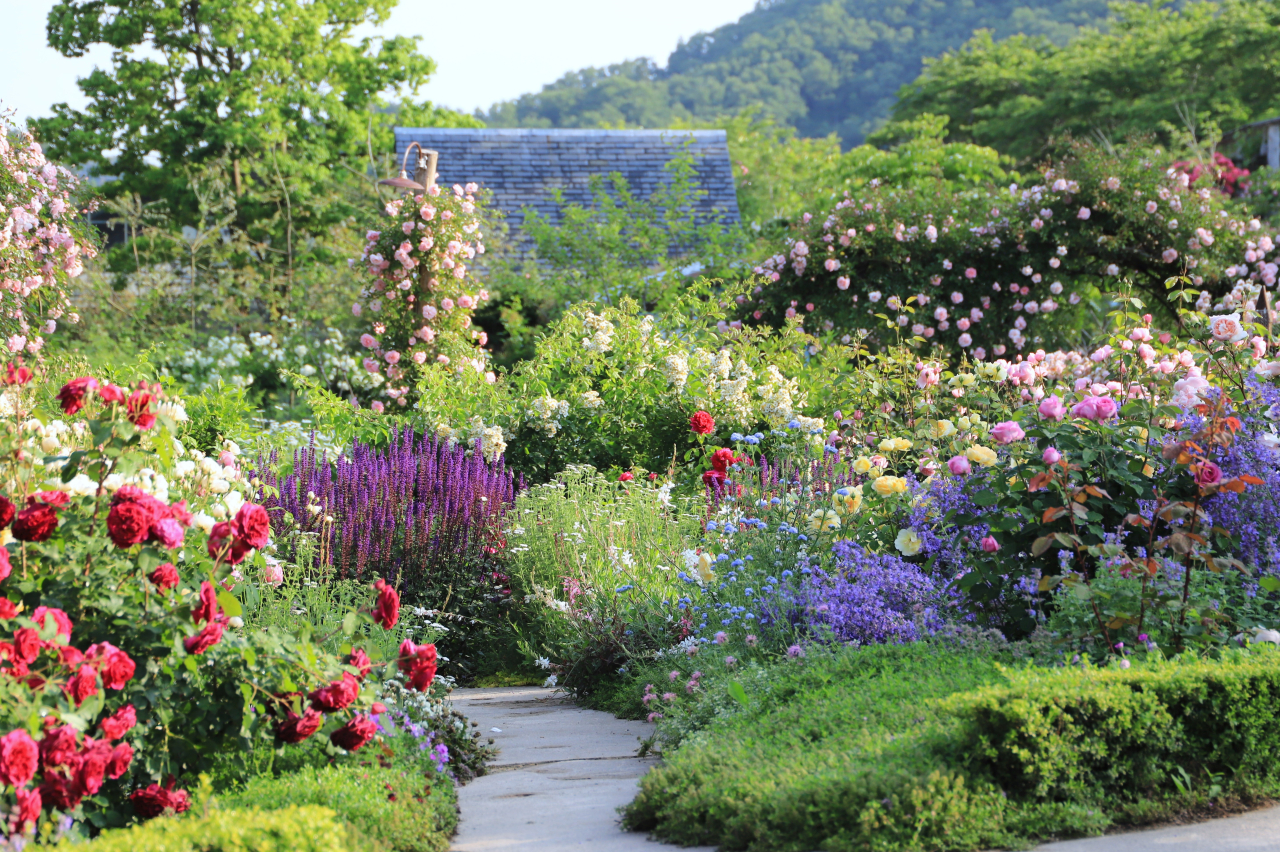 ローズガーデンエリア
