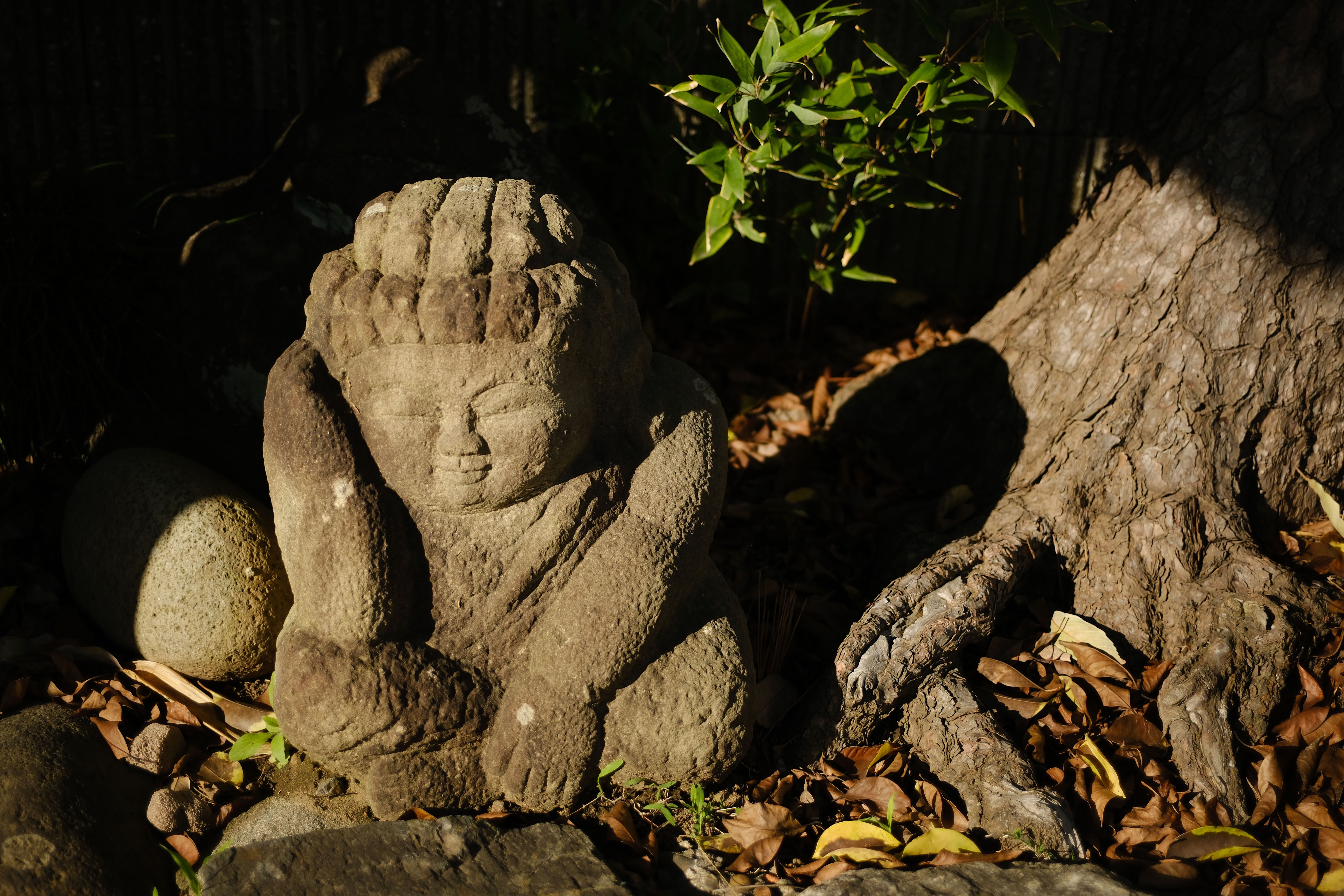 X-H2S／ULTRON 27mm F2／絞り優先AE（1/2,900秒、F2.0）／ISO 160