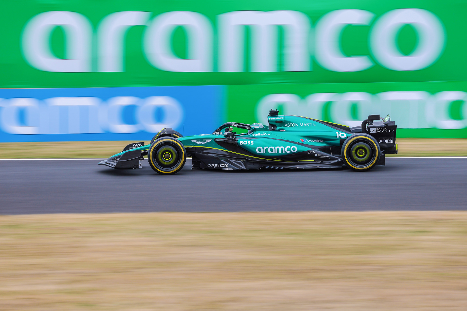 <span class="fnt-85">キヤノン EOS R6 Mark II／RF200-800mm F6.3-9 IS USM／324mm／シャッター優先AE（F9、1/160秒、－0.3EV）／ISO 100／WB：オート</span>