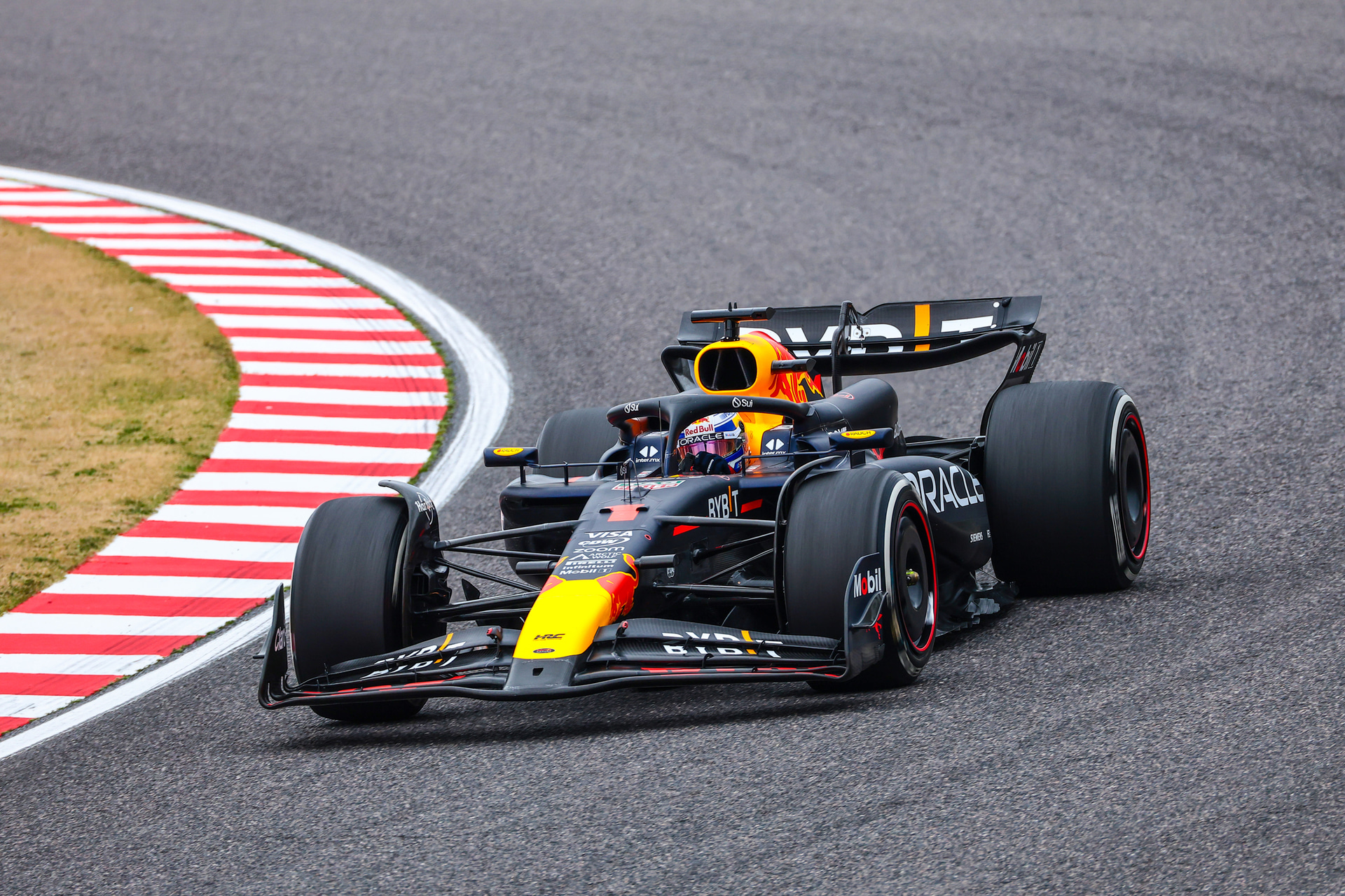 <span class="fnt-85">キヤノン EOS R6 Mark II／RF200-800mm F6.3-9 IS USM／800mm／シャッター優先AE（F9、1/1,000秒、－0.3EV）／ISO 800／WB：オート</span>