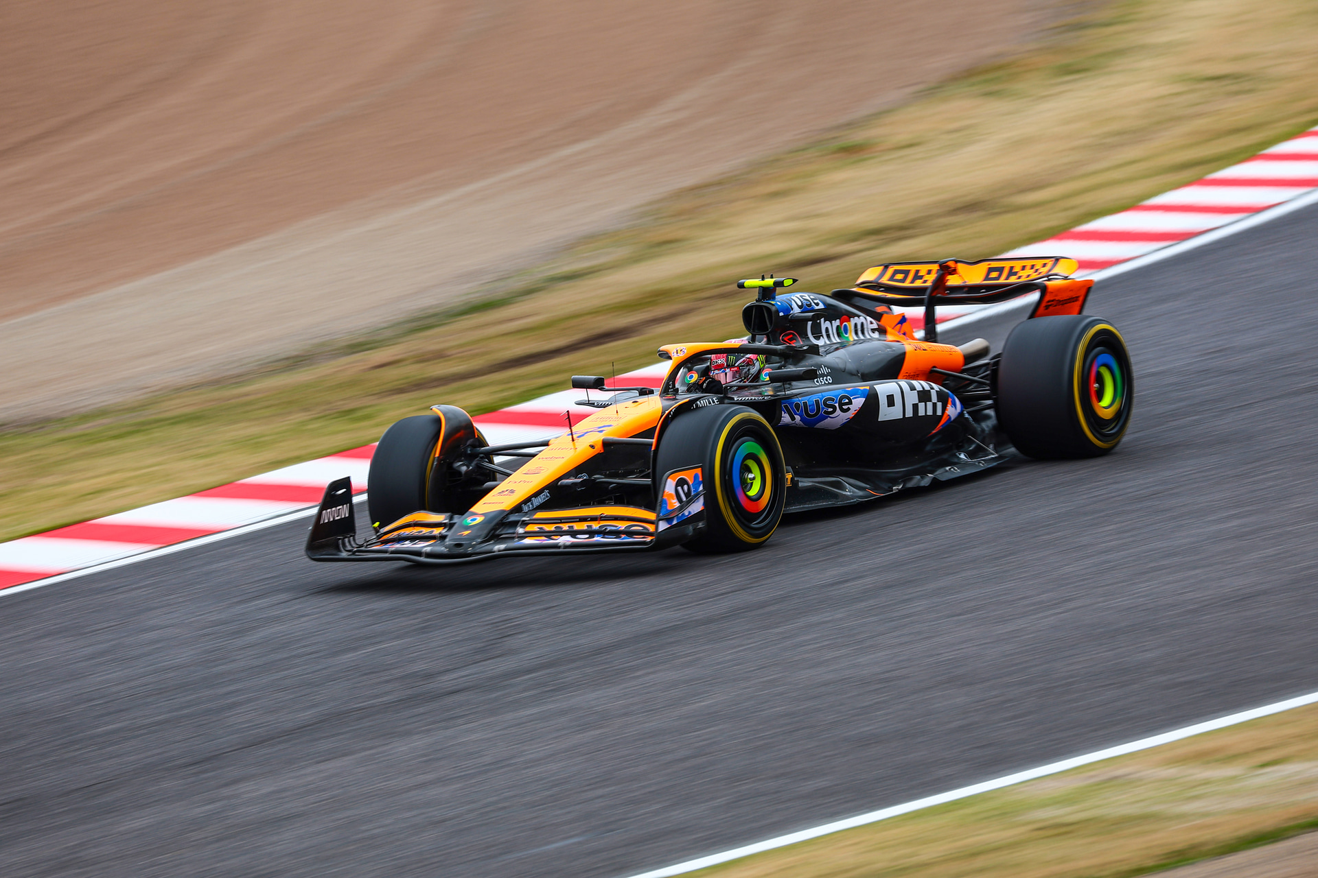 <span class="fnt-85">キヤノン EOS R6 Mark II／RF200-800mm F6.3-9 IS USM／400mm／シャッター優先AE（F9、1/125秒、－0.3EV）／ISO 100／WB：オート</span>