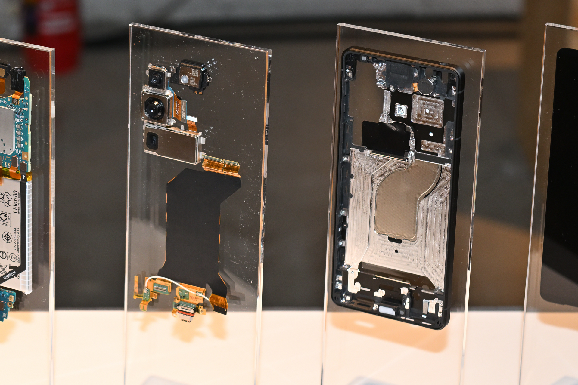 カットモデルも展示