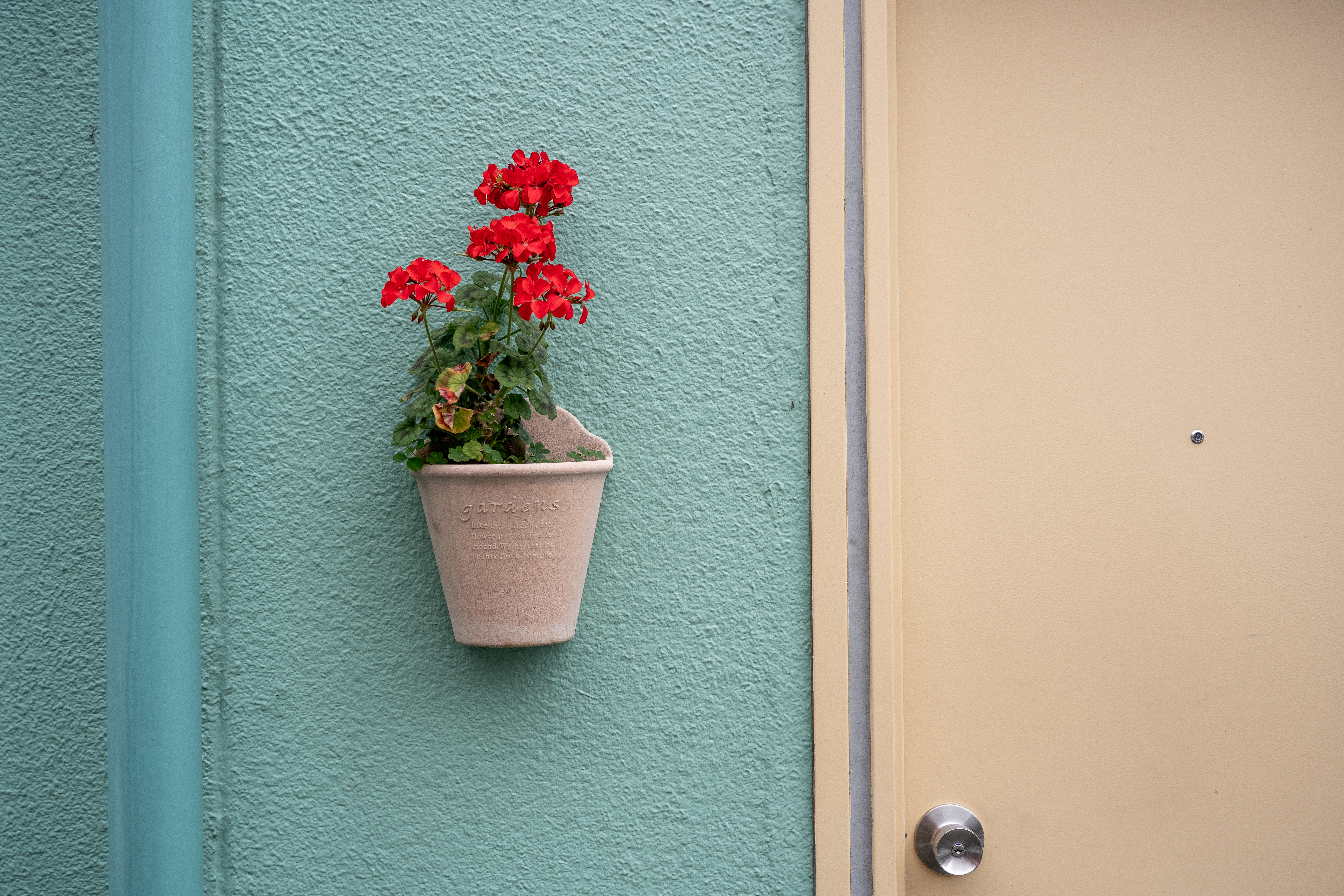 淡い色と花の赤の組み合わせで。とくにメルヘンを狙ったというわけではないのですが。歪曲を感じない自然な描写で安心して見ていることができます<br><span class="fnt-85">パナソニック LUMIX S5IIX／LUMIX S 28-200mm F4-7.1 MACRO O.I.S／49mm／プログラムオート（1/500秒、F8.0、±0.0EV）／ISO 800</span>