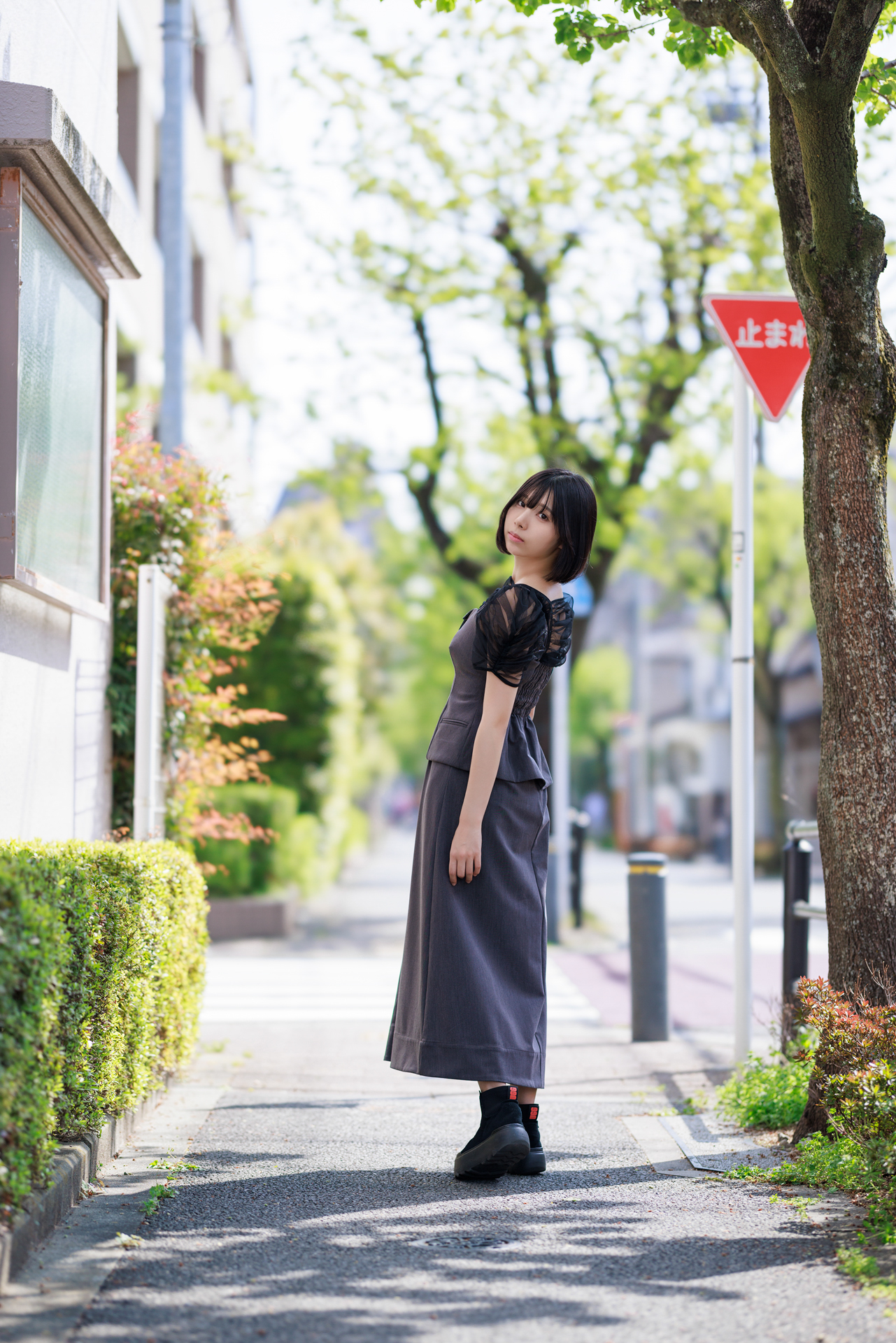 RF85mm F1.2 L USM DS