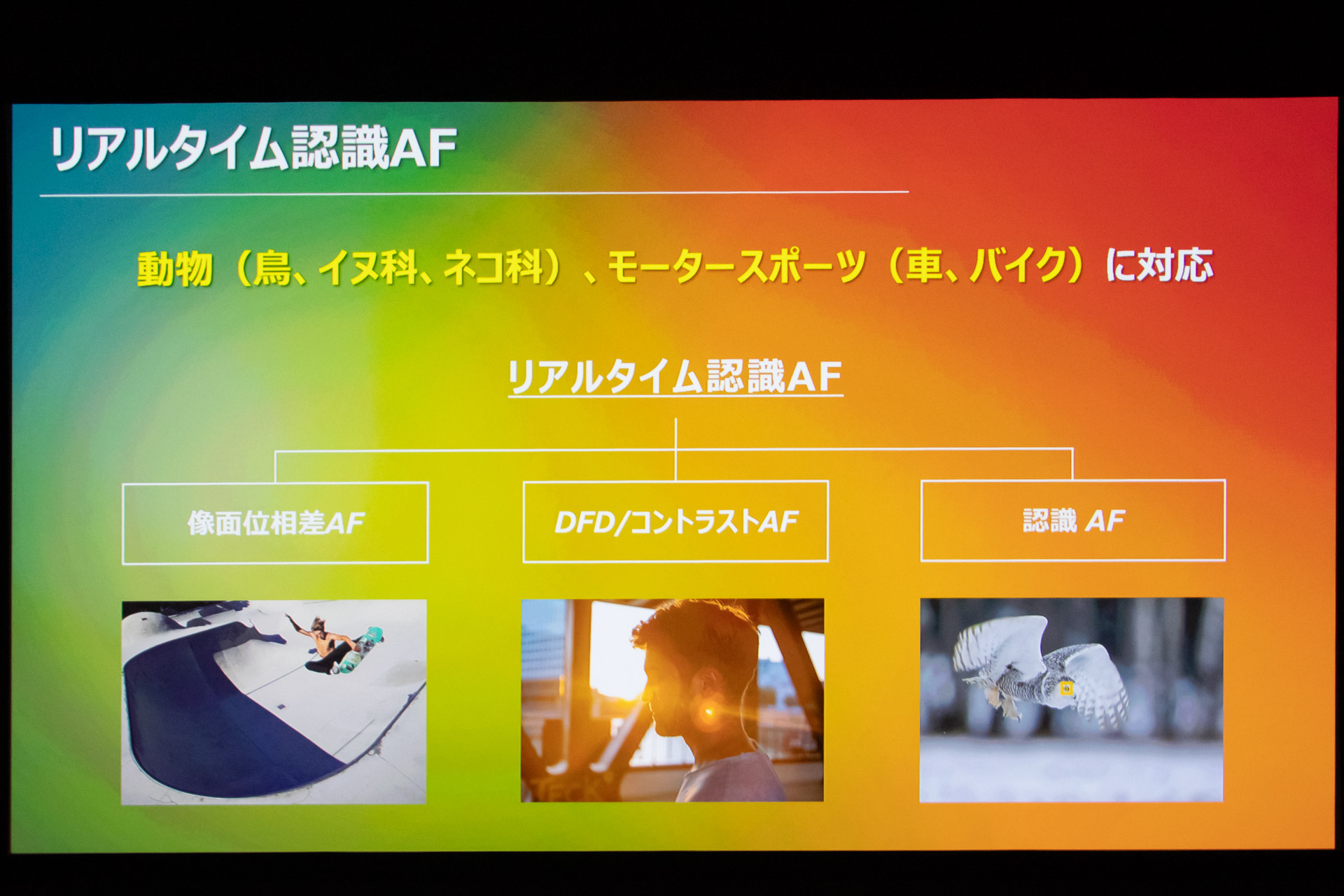 上位機種同様のAFシステムを搭載