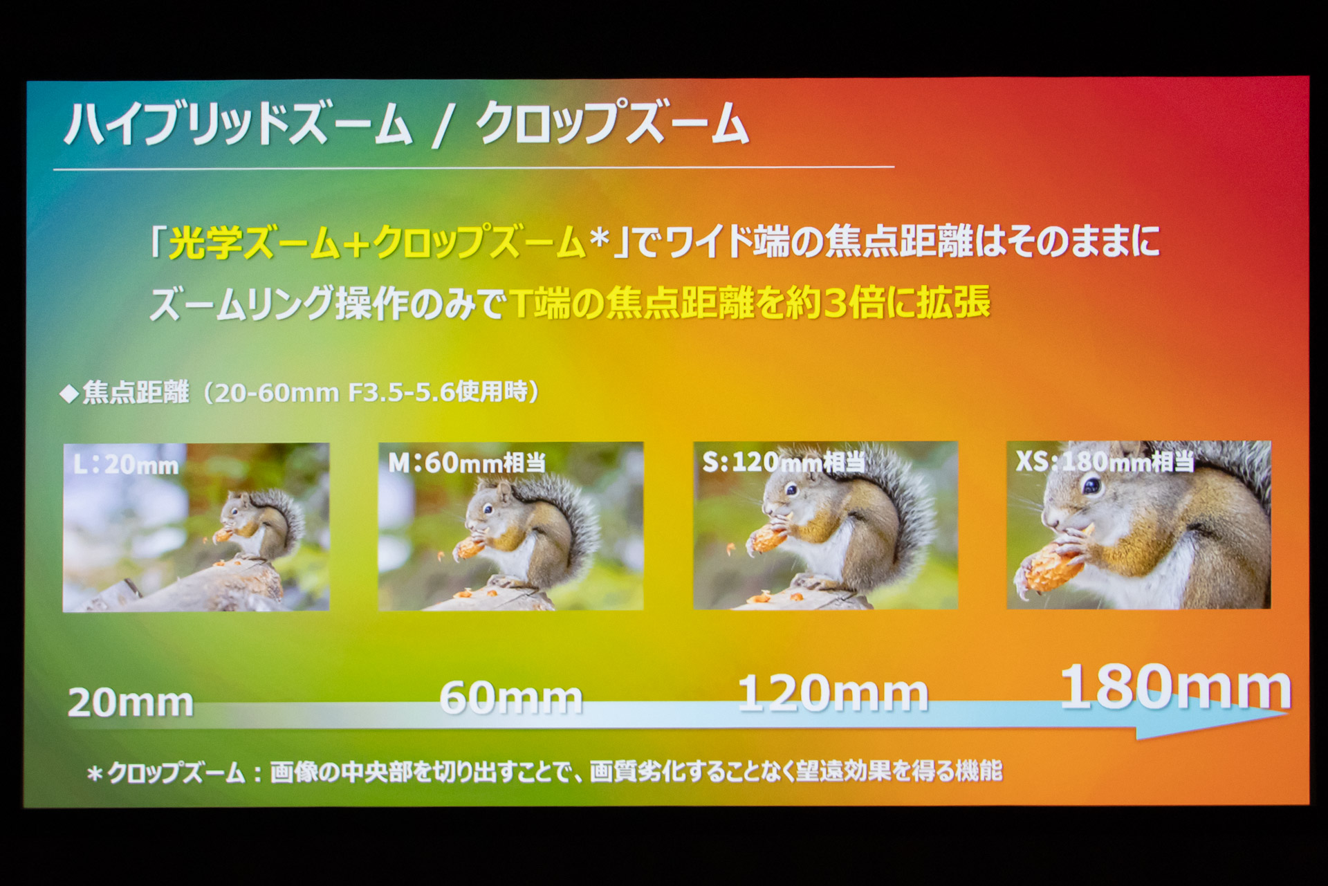 ハイブリッドズームも利用可能