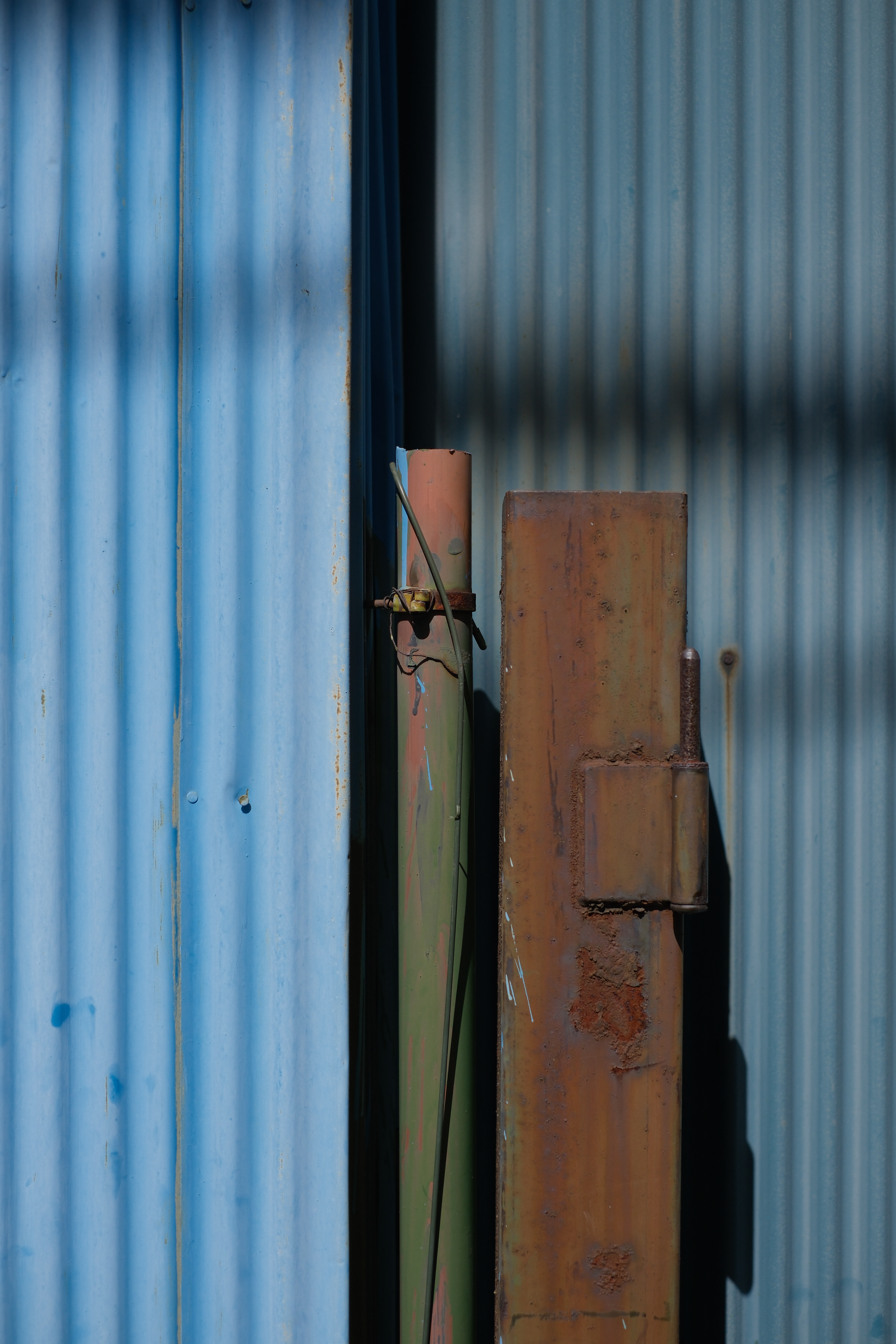 気の所為かも知れないが、AWBはX-T5より賢いような？ と感じるシーンが何度かあった。このカットはそのうちのひとつで、私のX-T5では若干黄色味のある再現になりやすい条件だが、かなり見た目に近い再現性だったのでPCで確認している時に「おっ」と思った。REALA ACE搭載が予定されている次のアップデートでX-T5も同様の制御になるかも知れない、と期待している<br><span class="fnt-85">X-T50／XF23mmF2 R WR／23mm（35mm相当）／絞り優先AE（1/7,000秒・F2.5・－0.3EV）／ISO 250／WB：オート／フィルムシミュレーション：PROVIA / スタンダード　グレイン・エフェクト・粒度 小</span>