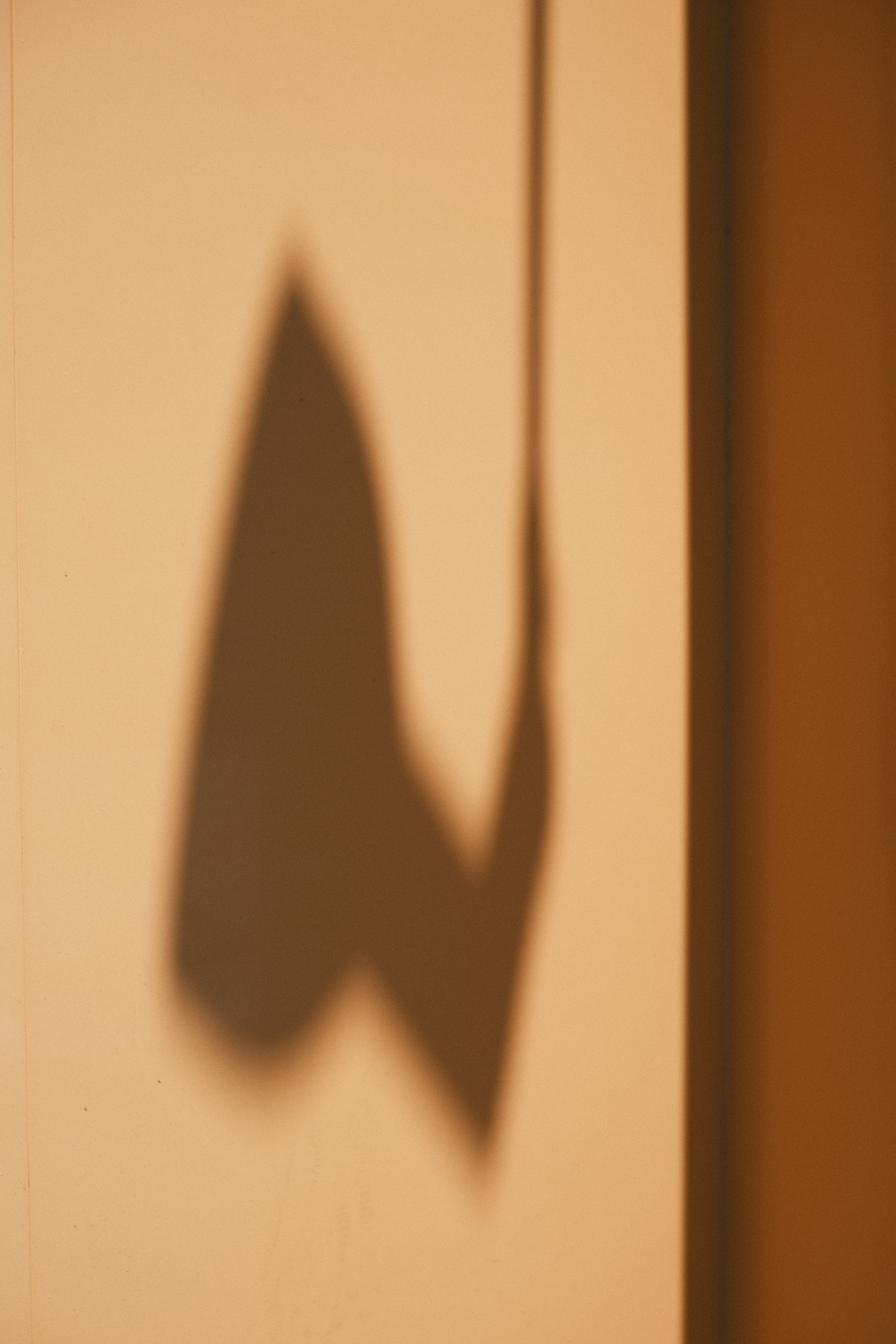 ランプの影が山吹色の壁に伸びているところを撮影している。ピント合焦しているカットもあったが、ピンボケカットの方がニュアンスが良かったので敢えて採用した。そうした発見は往々にして失敗から得られるものです。こうした条件はどのメーカーでも苦手としているので、本機が特別に不得手という訳ではないので誤解なきよう<br><span class="fnt-85">X-T50／XF35mmF1.4 R／35mm（53mm相当）／絞り優先AE（1/4,400秒・F2.8・＋0.3EV）／ISO 250／WB：オート／フィルムシミュレーション：クラシックネガ　グレイン・エフェクト・強度 弱 / 粒度 大</span>