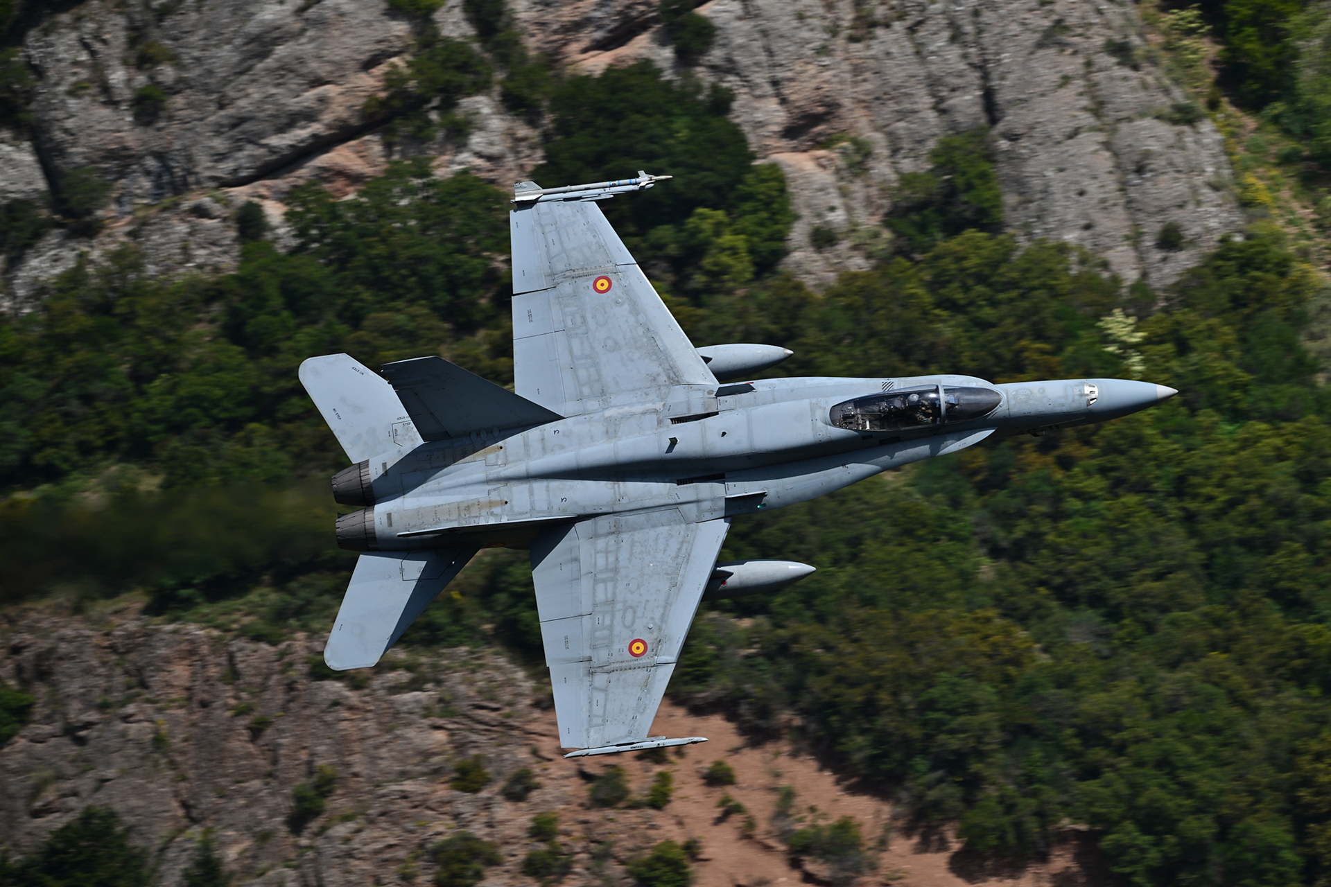 <span class="fnt-85">ニコン Z 8／NIKKOR Z 600mm f/6.3 VR S／マニュアル露出（1/1,500秒、F8.0）／ISO 200</span>