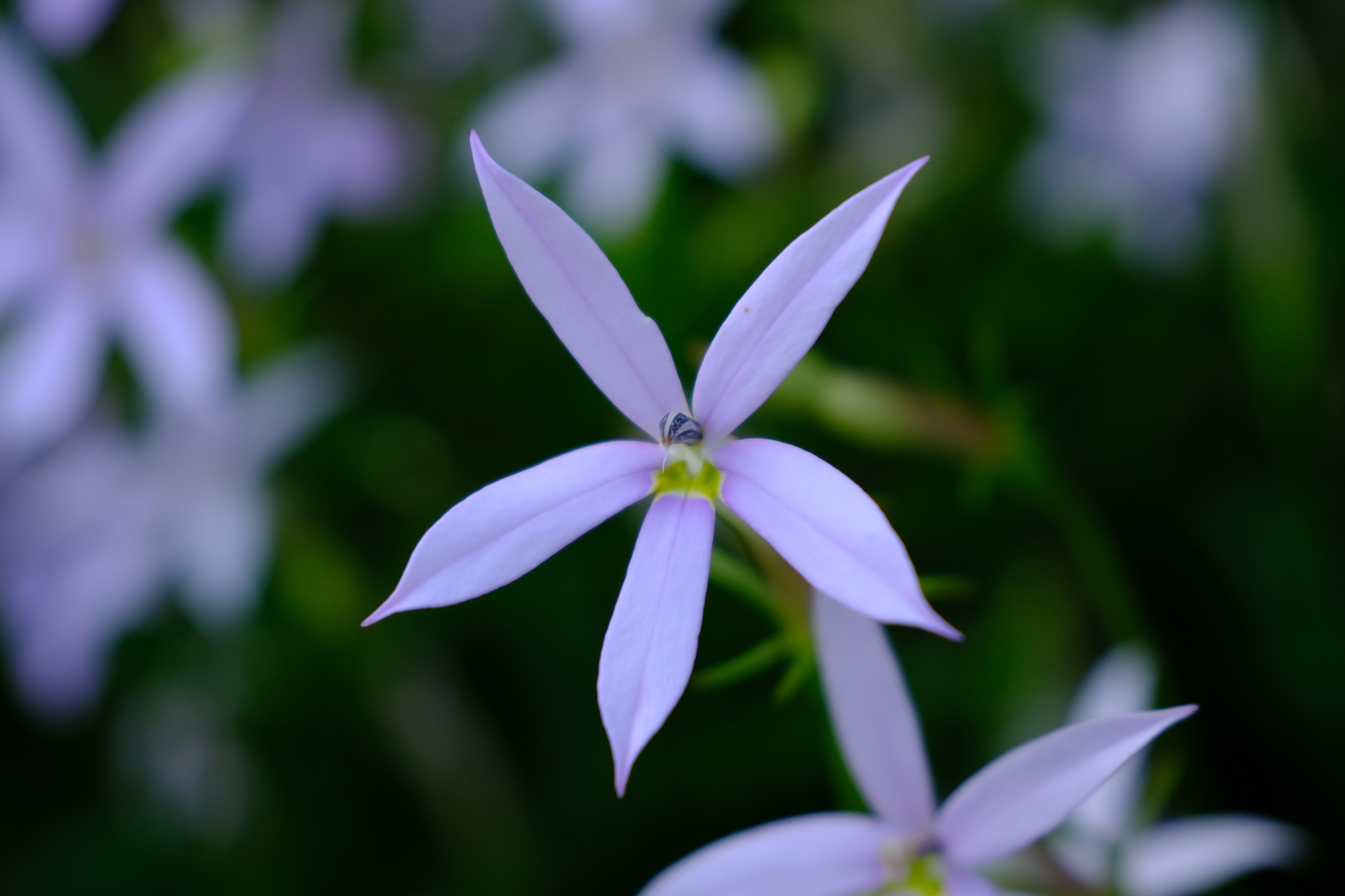 <span class="fnt-85">富士フイルム X-H2S／XF16-50mmF2.8-4.8 R LM WR／50mm（76mm相当）／絞り優先AE（1/400秒、F4.8、−0.3EV）／ISO 400</span>