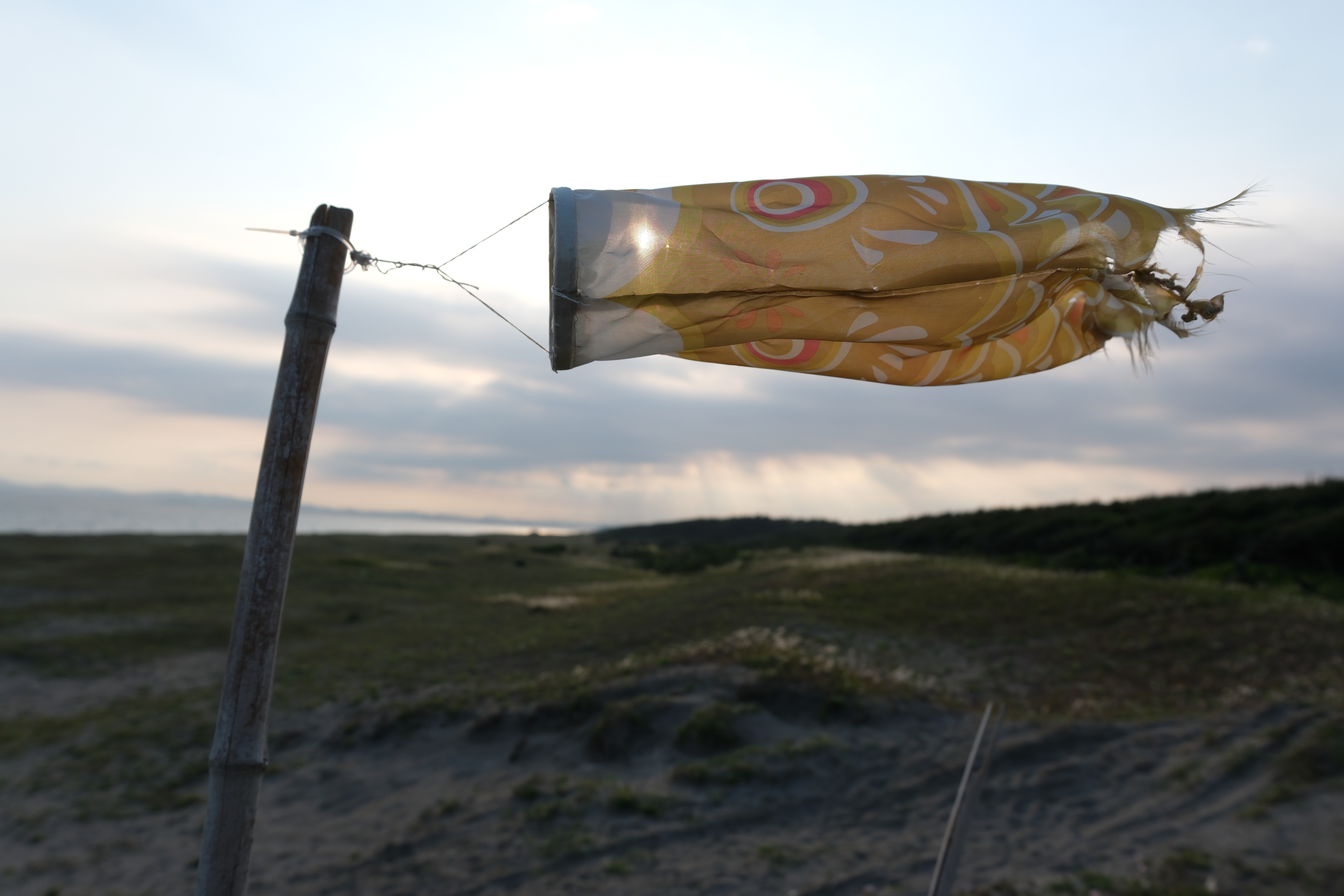 <span class="fnt-85">富士フイルム X-H2S／XF16-50mmF2.8-4.8 R LM WR／16mm（24mm相当）／絞り優先AE（1/1,600秒、F4.0、＋0.7EV）／ISO 160</span>