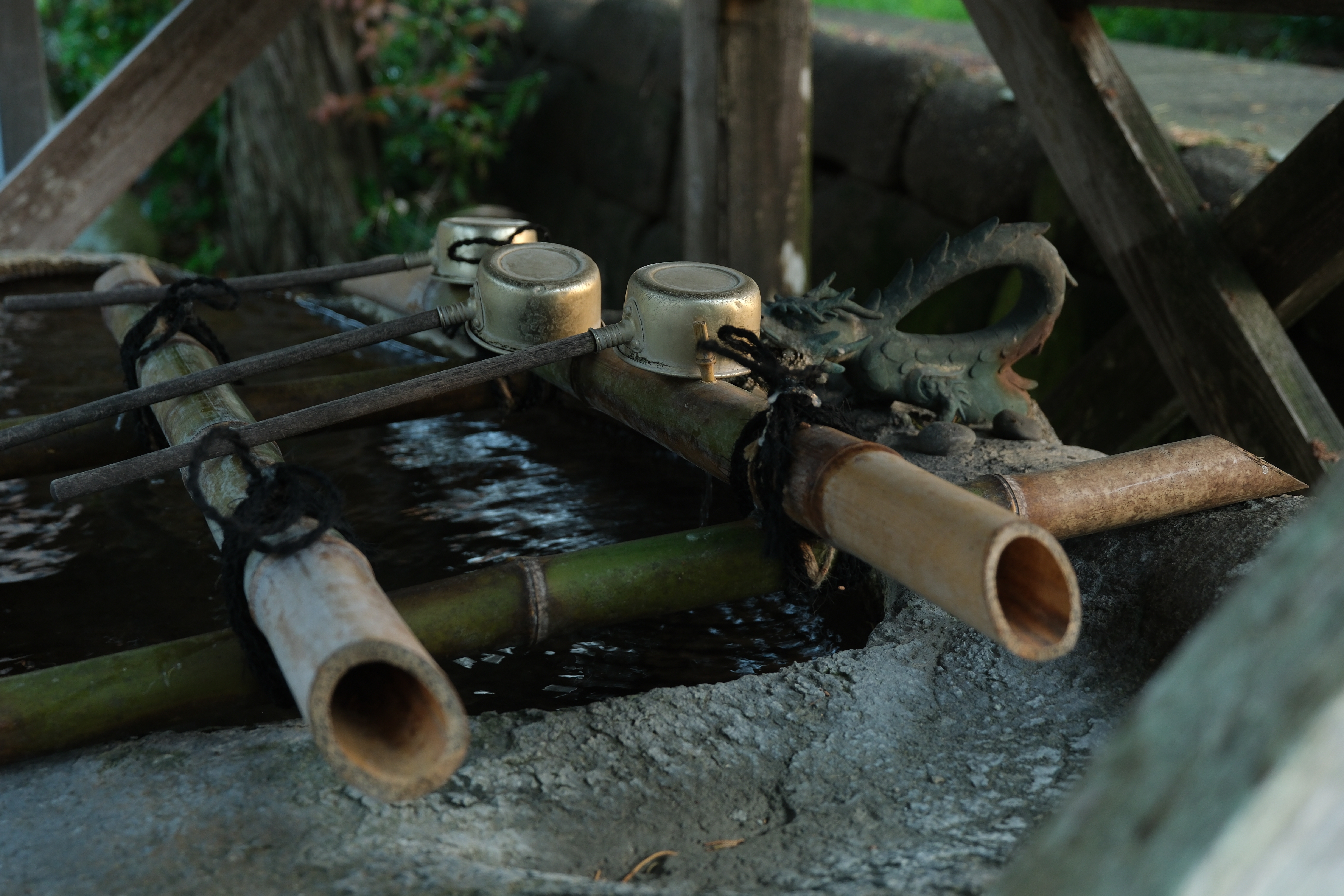 <span class="fnt-85">富士フイルム X-H2S／XF16-50mmF2.8-4.8 R LM WR／30.5mm（46mm相当）／絞り優先AE（1/35秒、F3.7、−1.3EV）／ISO 400</span>