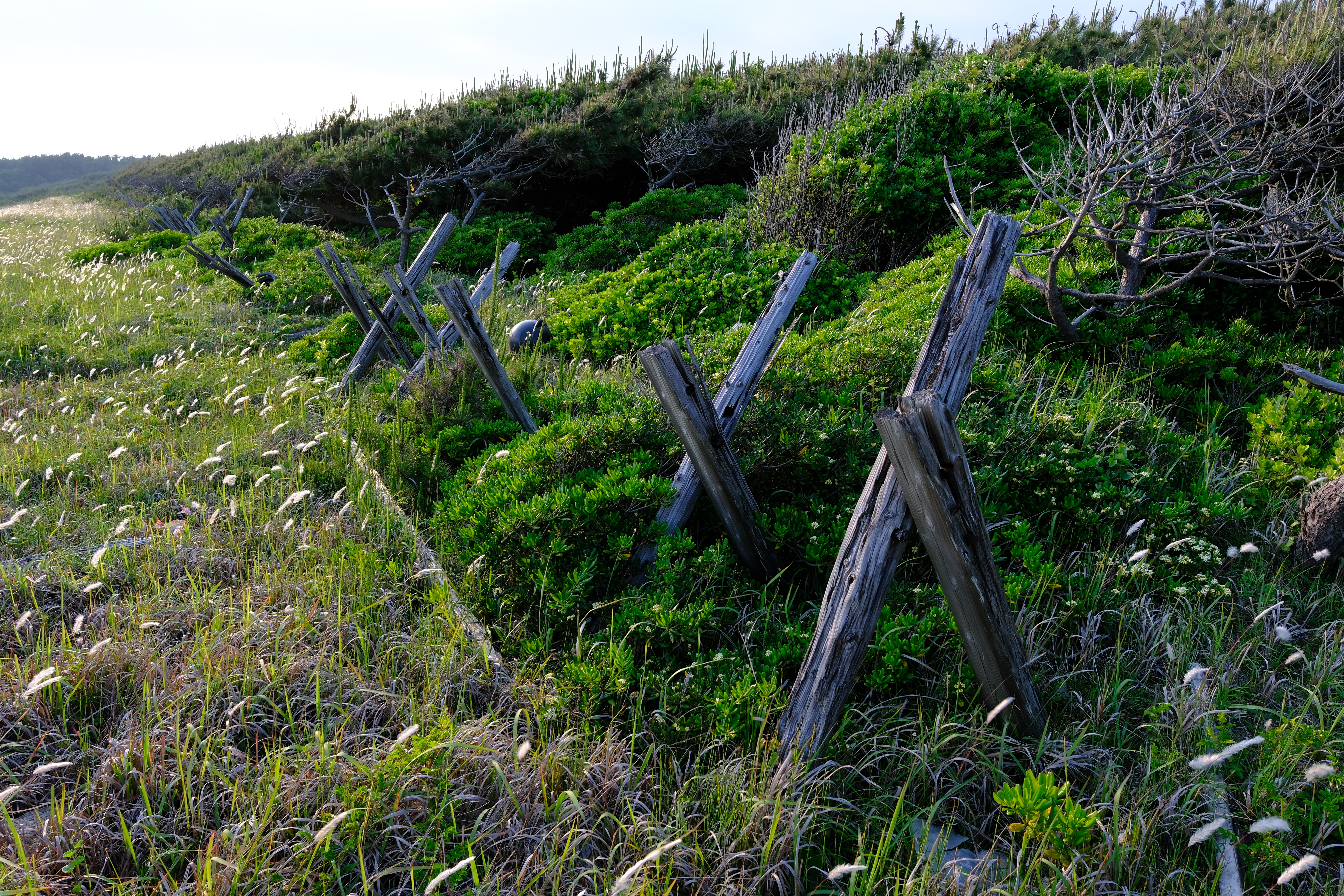 <span class="fnt-85">富士フイルム X-H2S／XF16-50mmF2.8-4.8 R LM WR／16mm（24mm相当）／絞り優先AE（1/160秒、F5.6、−0.7EV）／ISO 400</span>